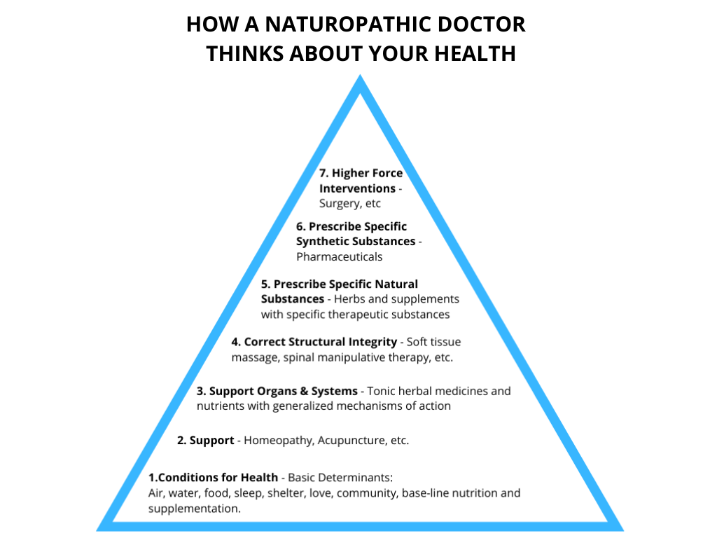 How a Naturopath Views your Health
