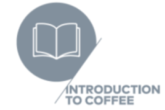 introduction to coffee.png