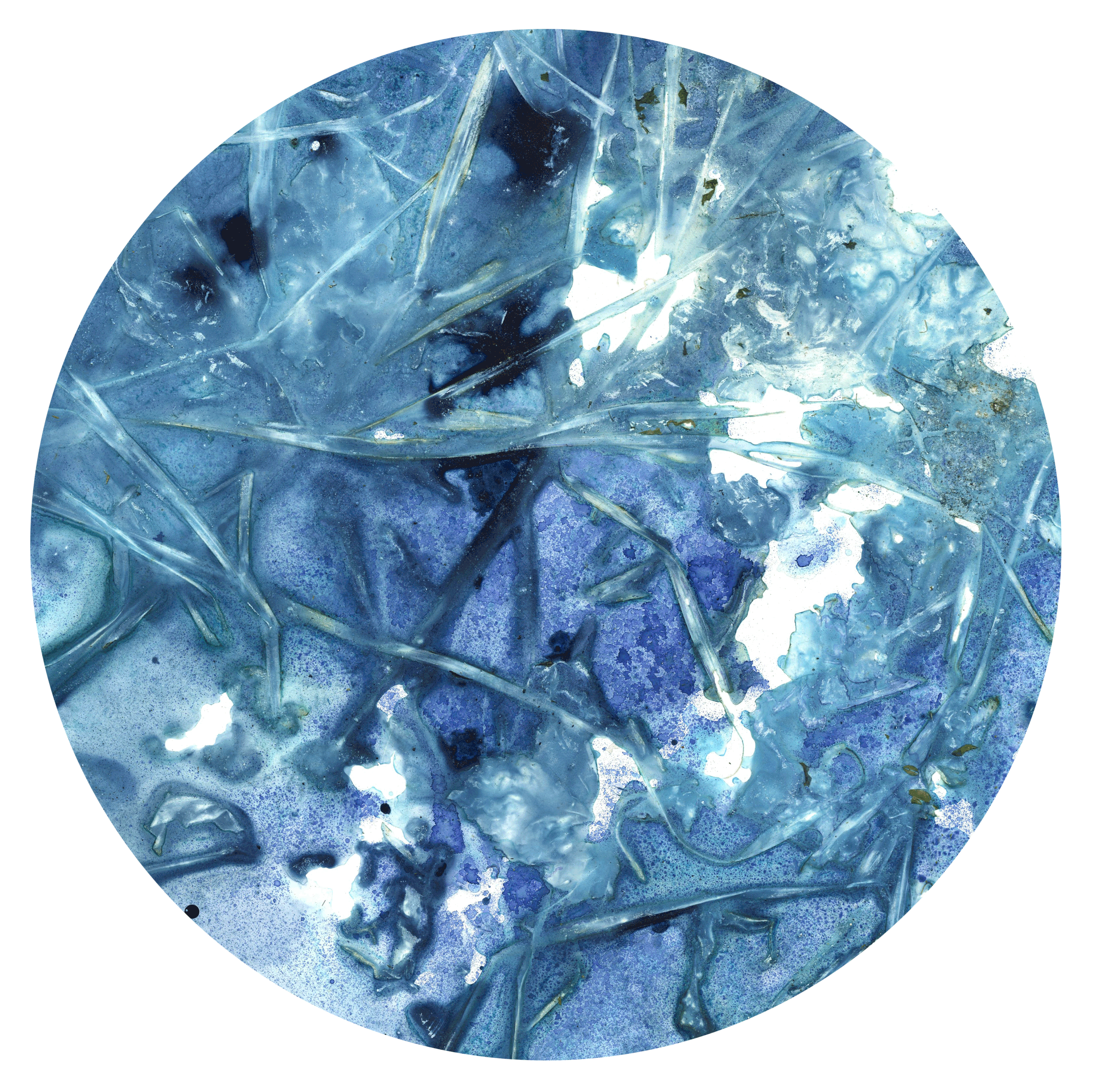 Walking-Meditation-in-Hawthorn-Blue-Series-06.gif