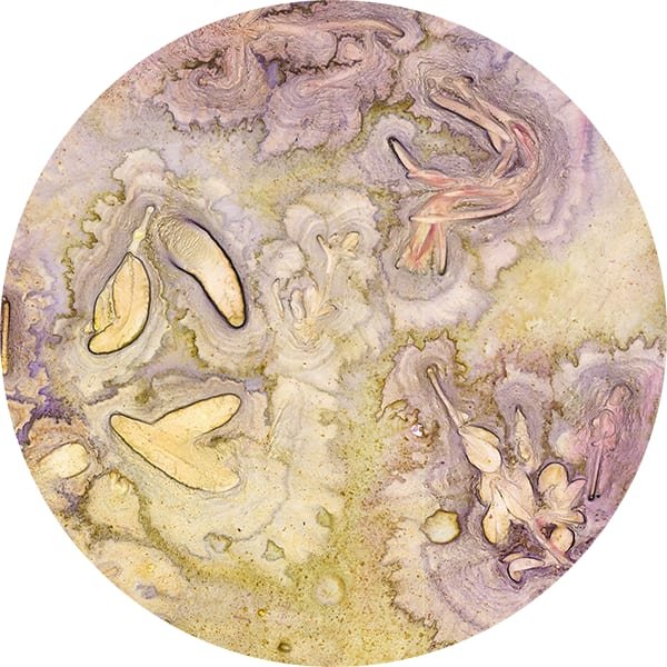 Portal_6_Detail_2.jpeg