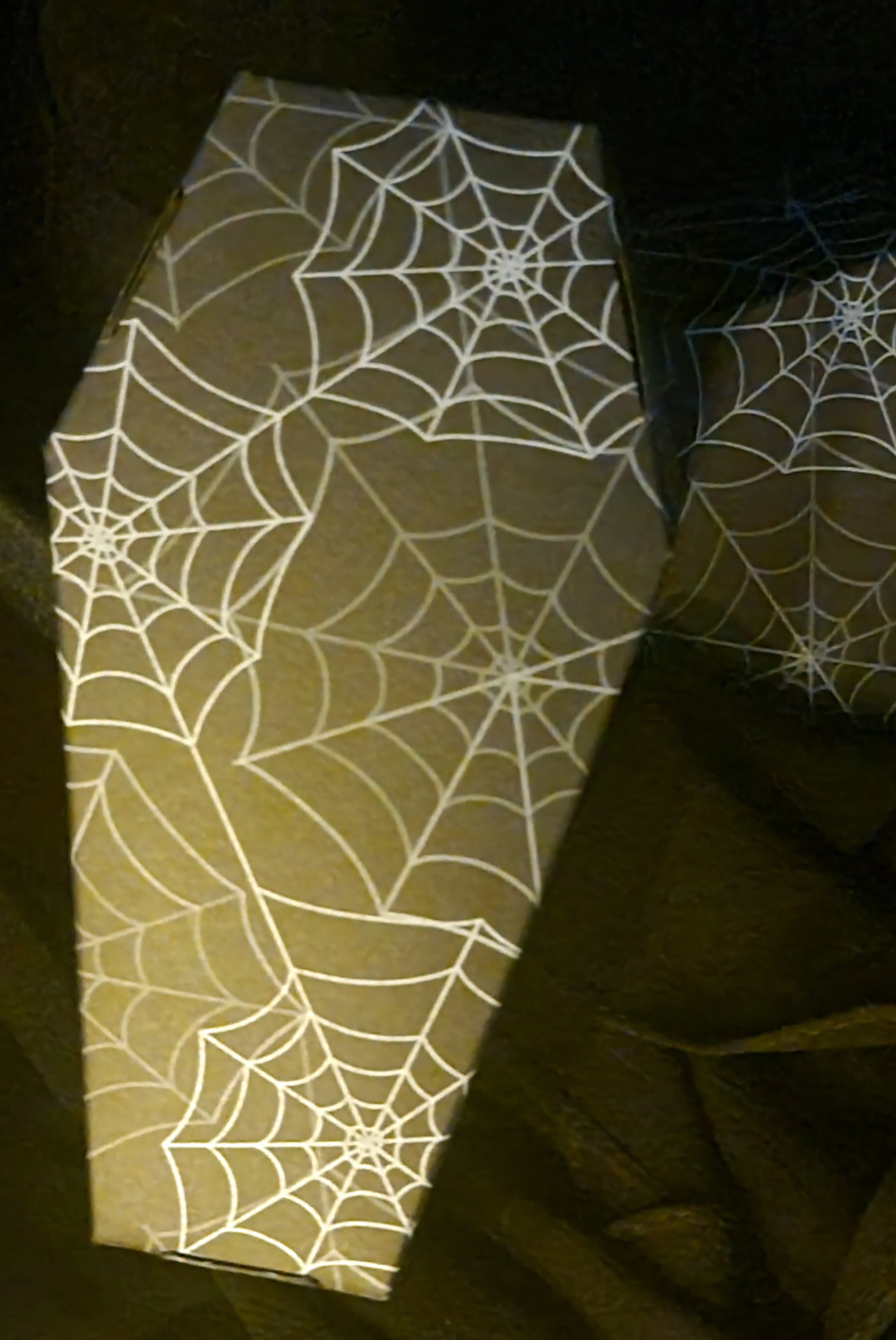 THE WEBBED COFFIN BOX