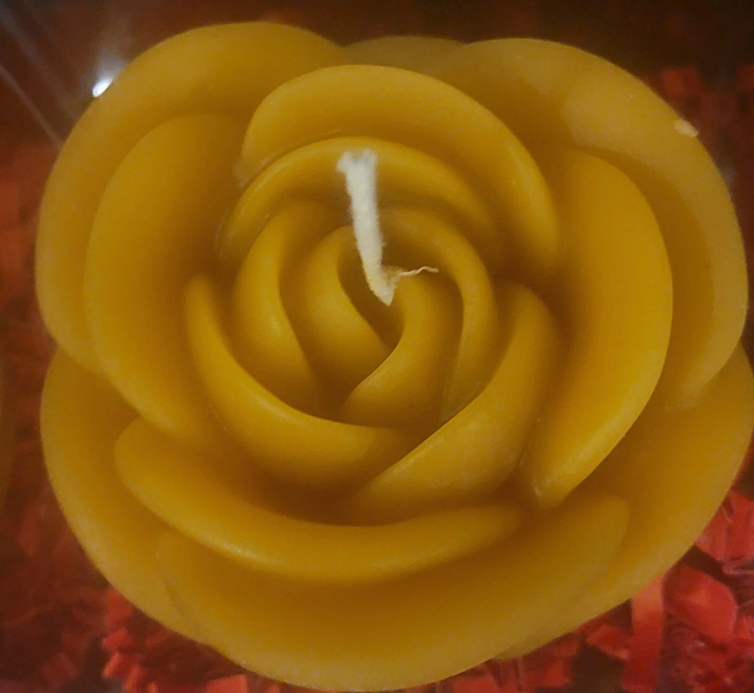 lg+single+rose.jpg