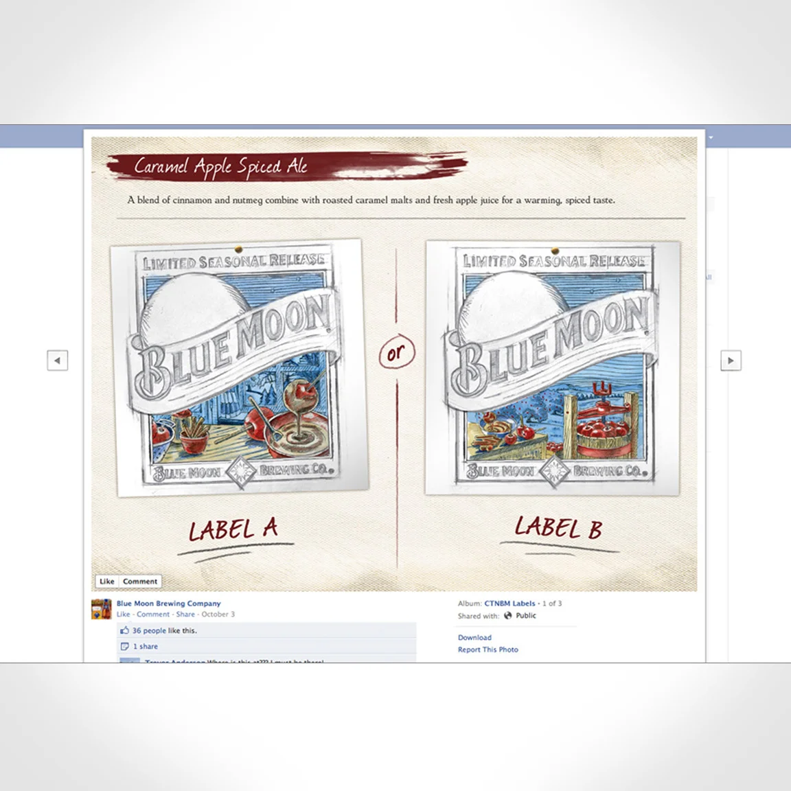 Bluemoon Website Work 3.jpg