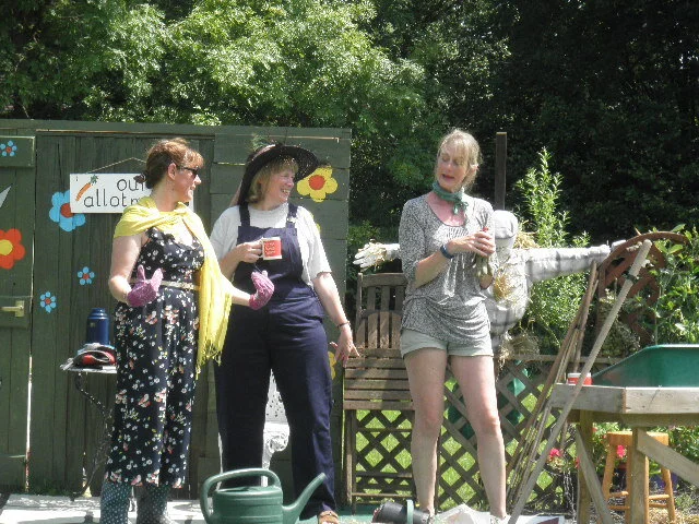 The Allotment - June 2017