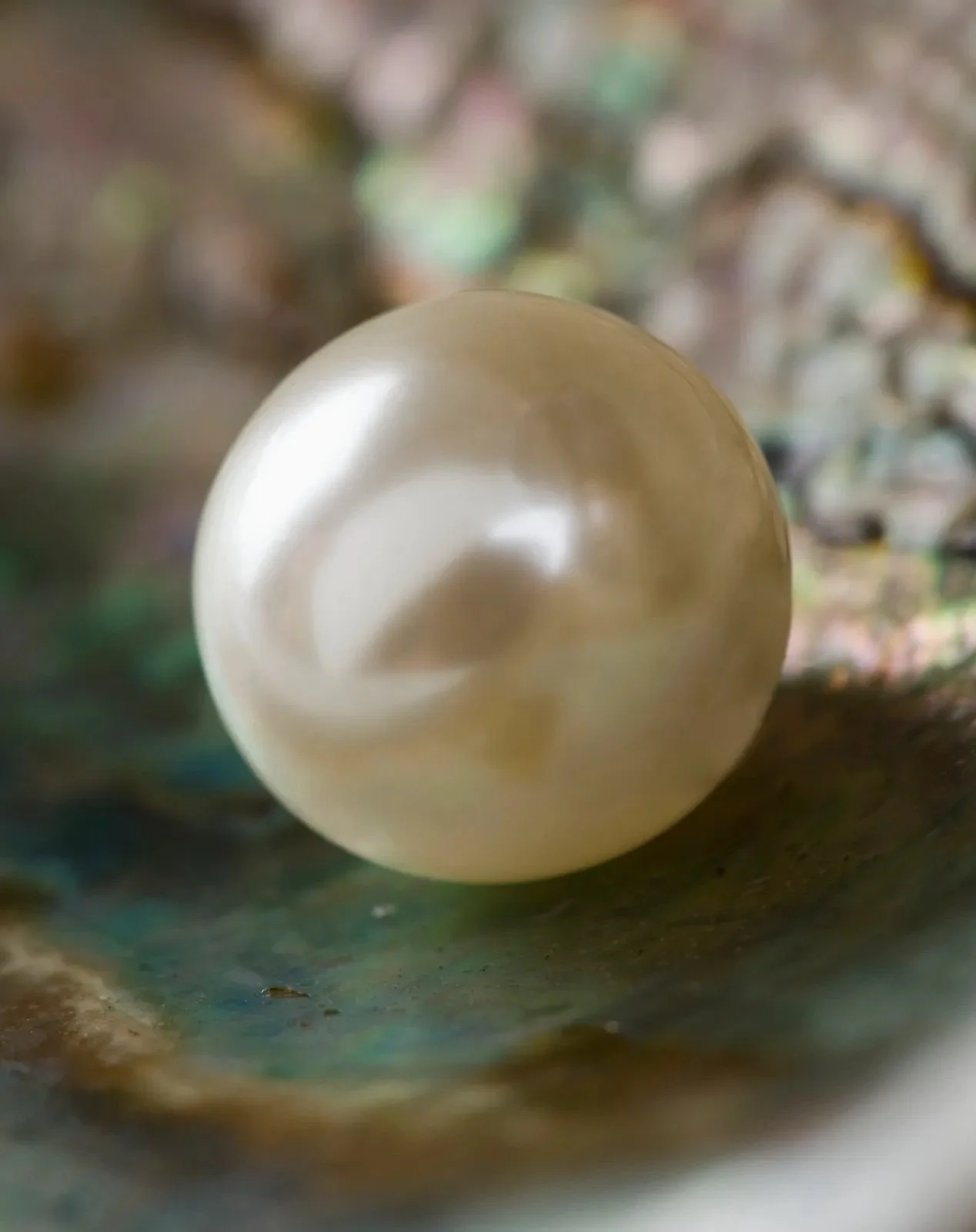 pearl2.jpg