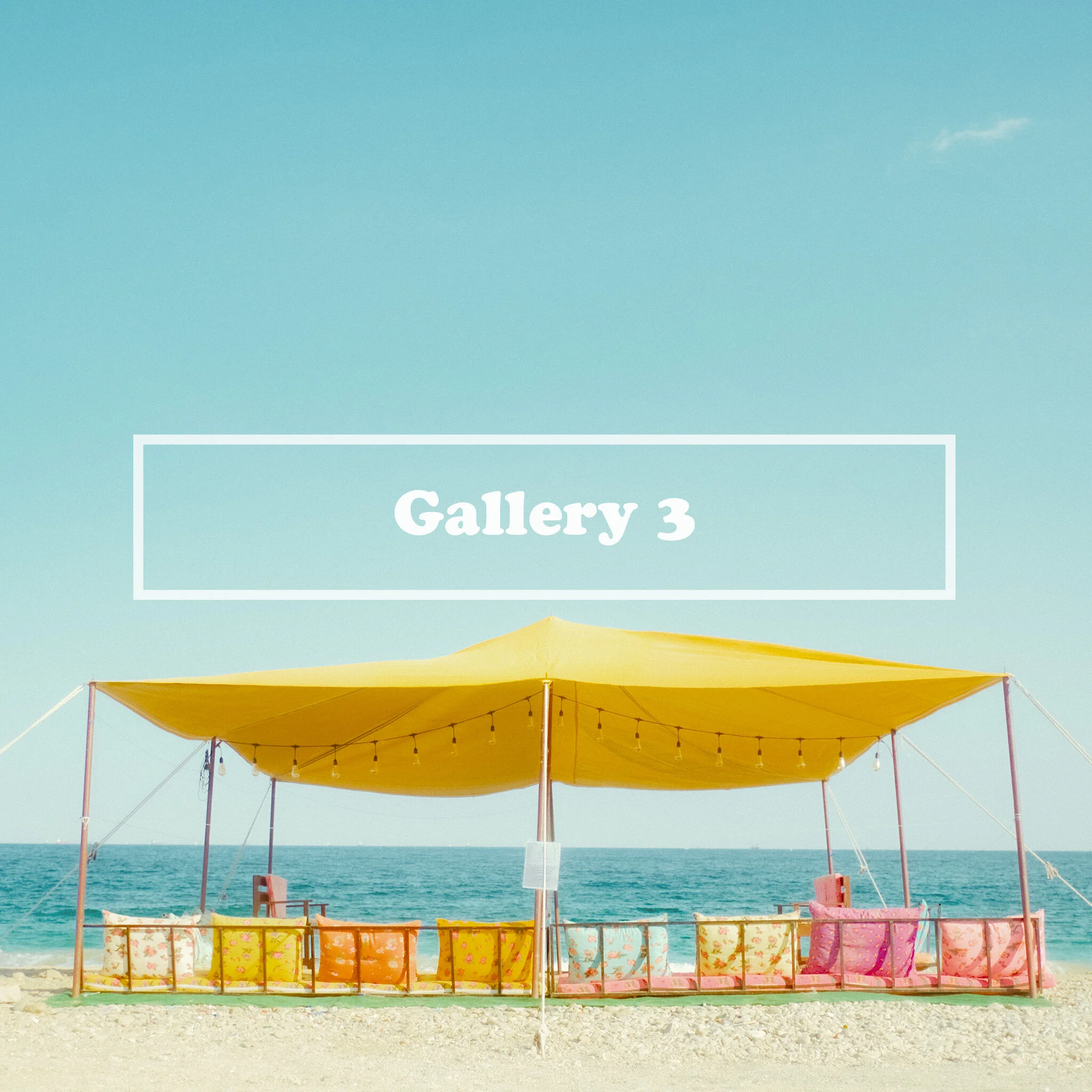 gallery3.jpg