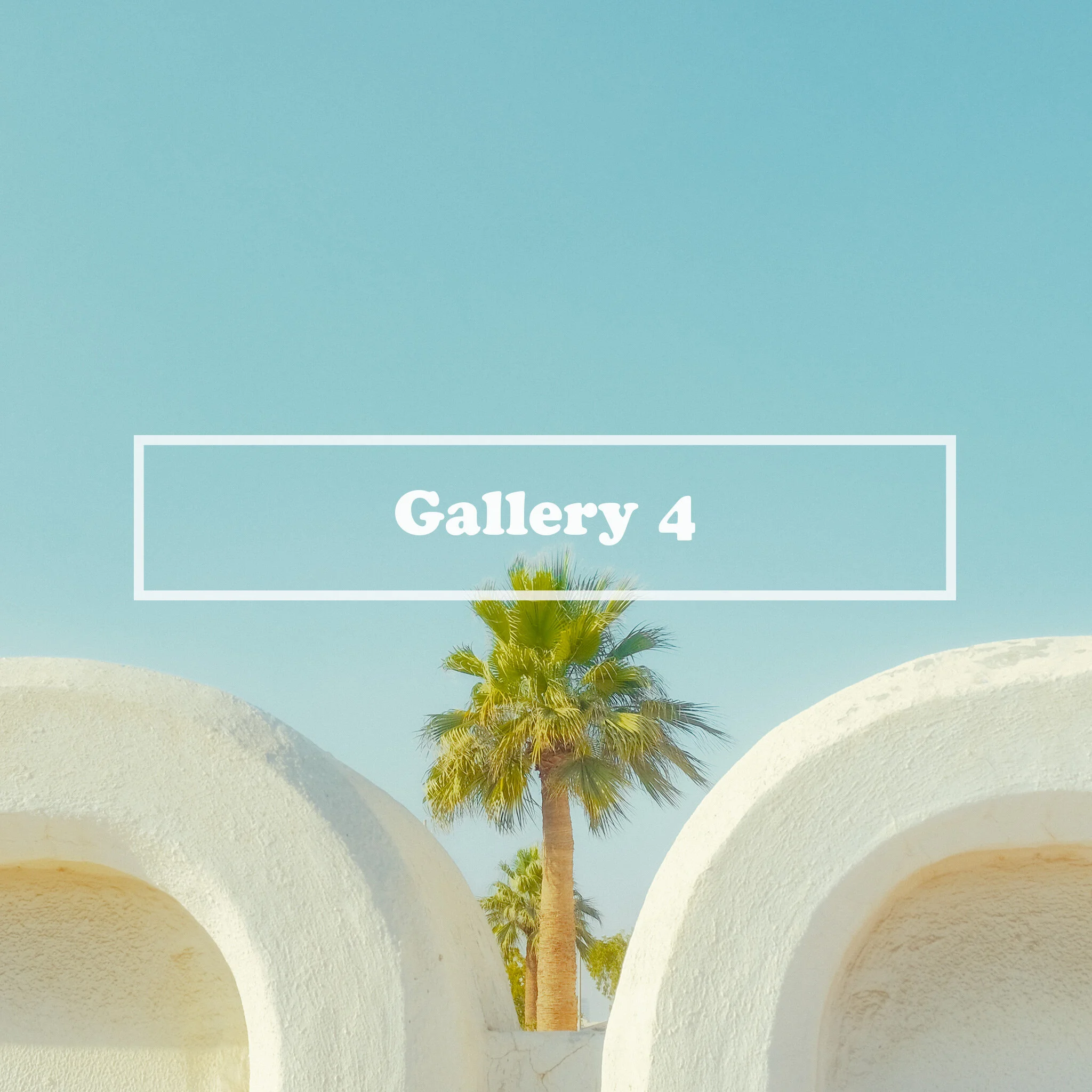 gallery4.jpg