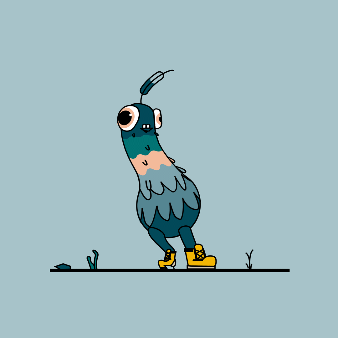 Recent_PigeonAnimation.gif