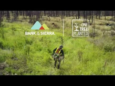 Consumer Checking Promo OTT Ad