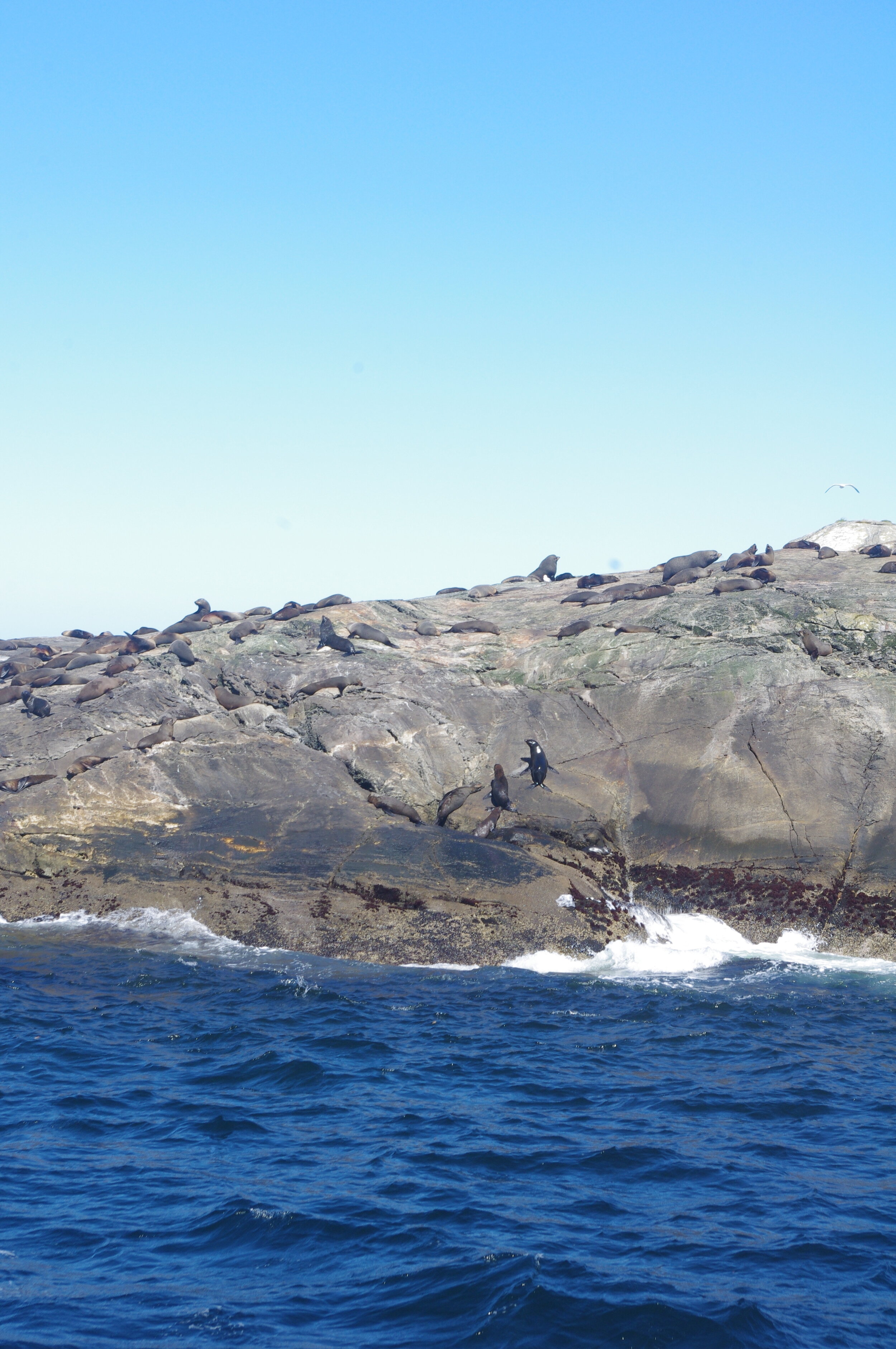 One stuck seal