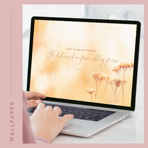 November Backgrounds: Free Download for Your Phone, Tablet or Desktop
