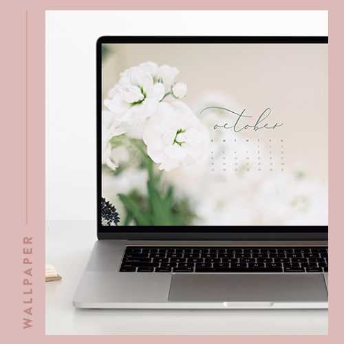 October Backgrounds: Free Download for Your Phone, Tablet or Desktop