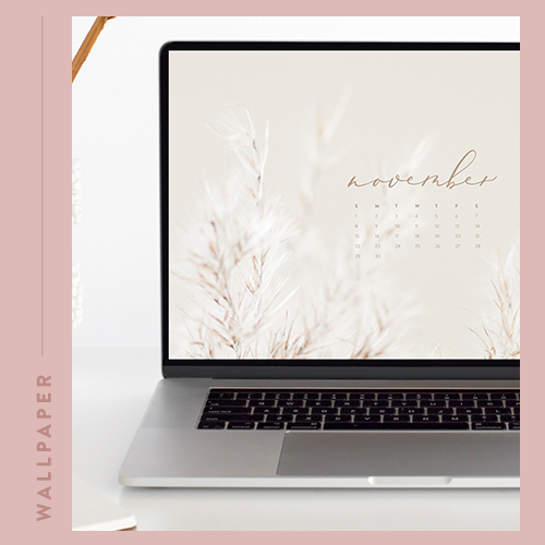 November Backgrounds: Free Download for Your Phone, Tablet or Desktop