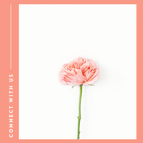 Connect with The Morning | Resources &amp; Community for Life After Baby Loss
