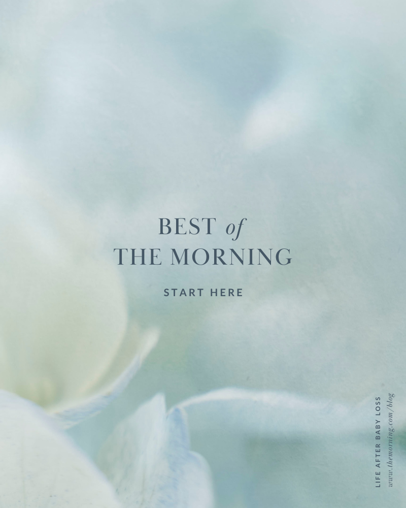 Start Here The Best of The Morning 2023 — The Morning