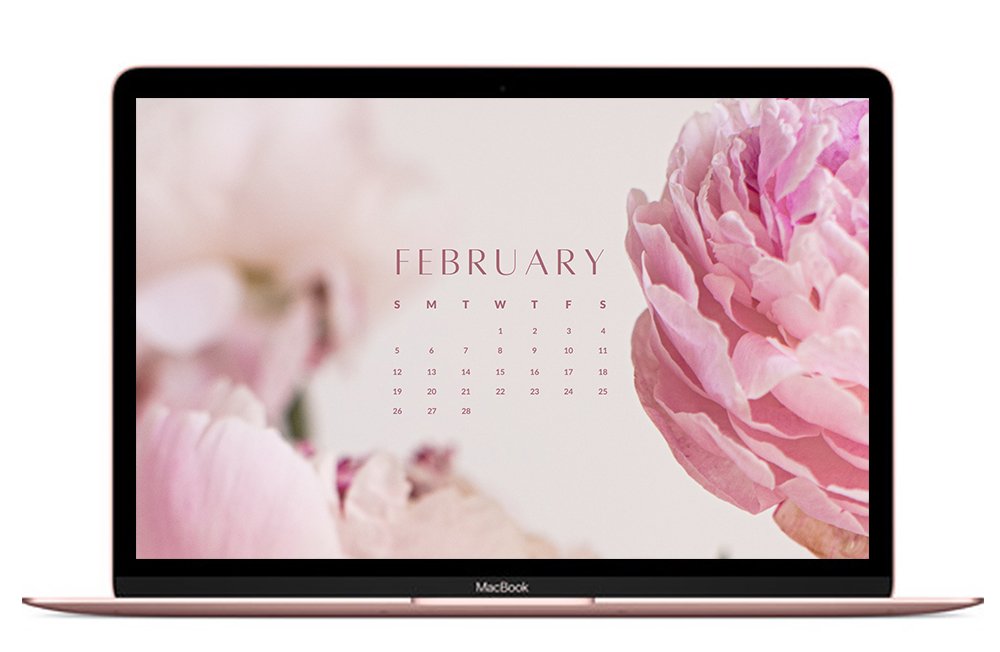 February 2023 wallpapers  60 FREEBIES for desktop  phones