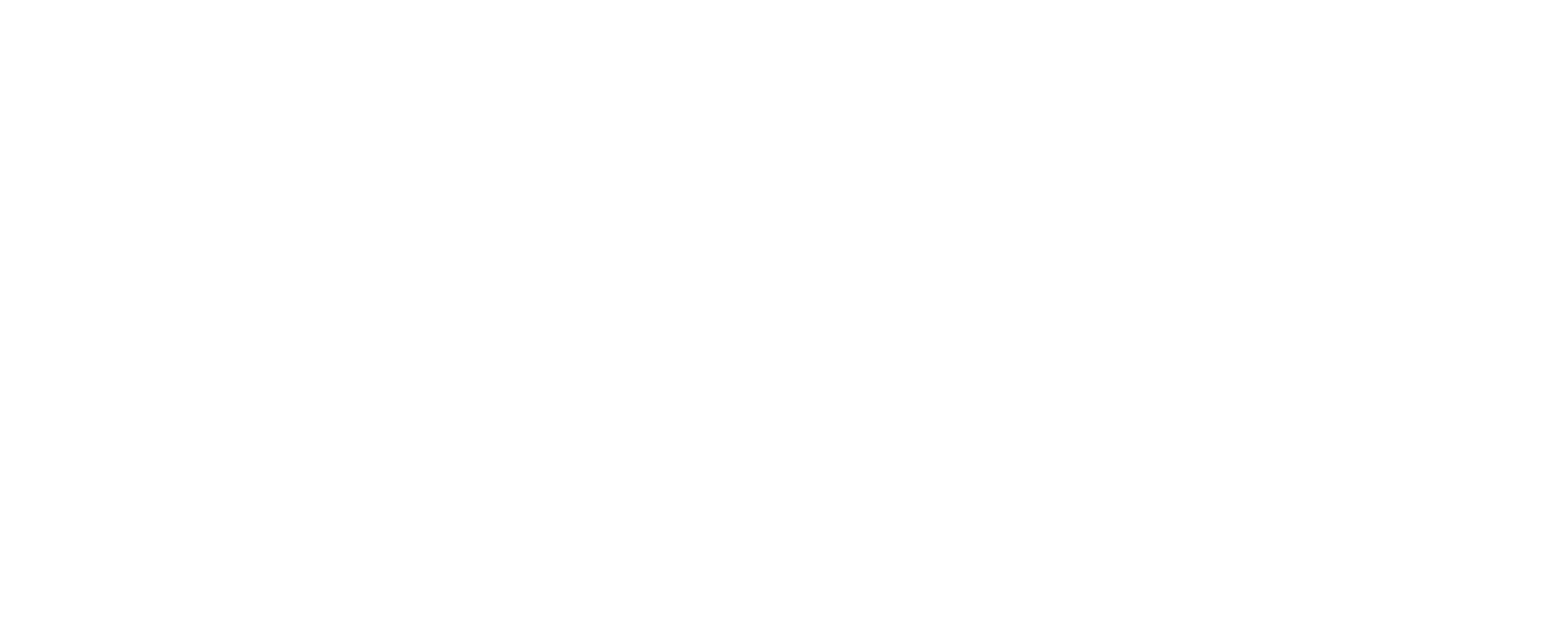 Distinctive Travel Designs