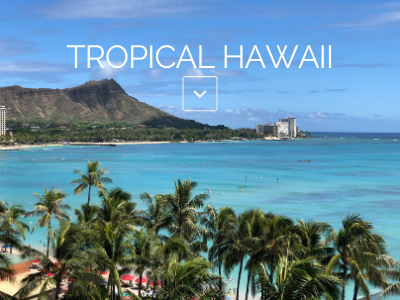 Tropical Hawaii image