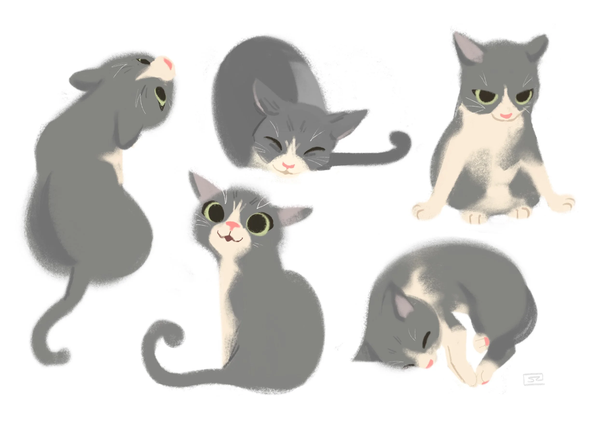 Calico.jpg