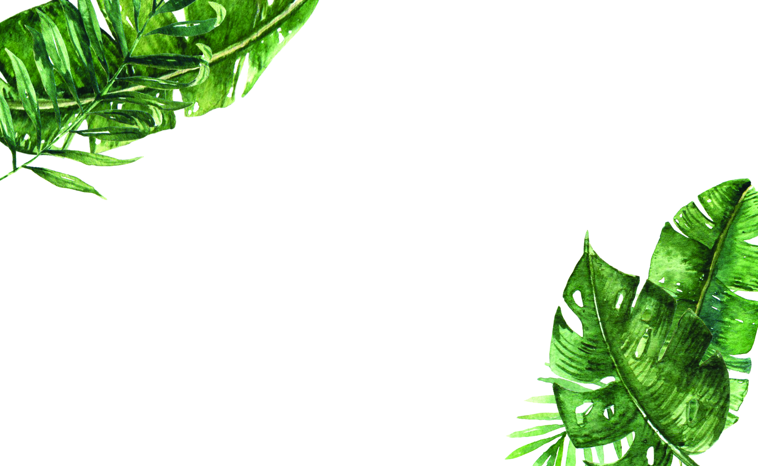 Background 05.jpg