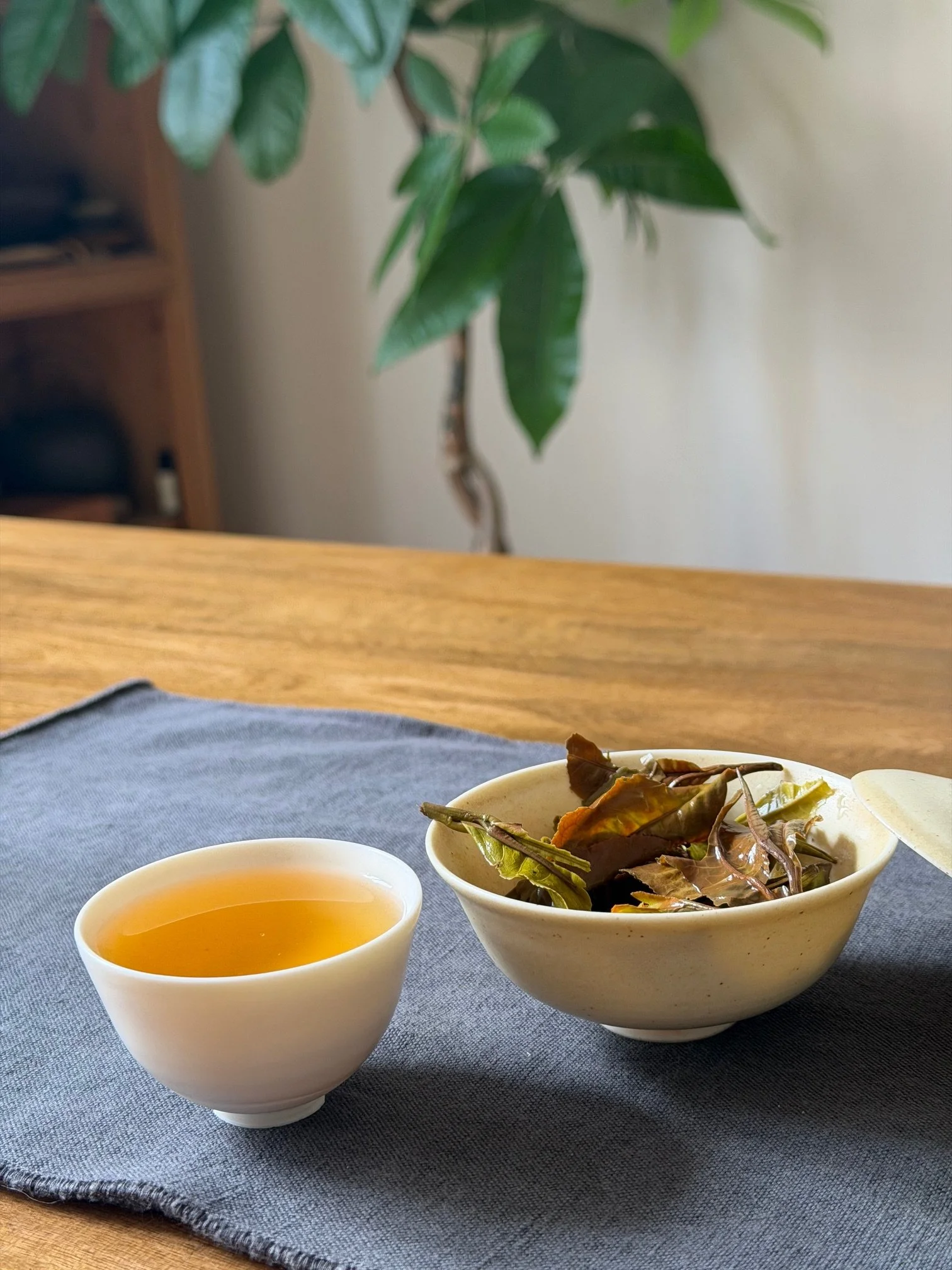 JADE BLANC INFUSION.jpeg