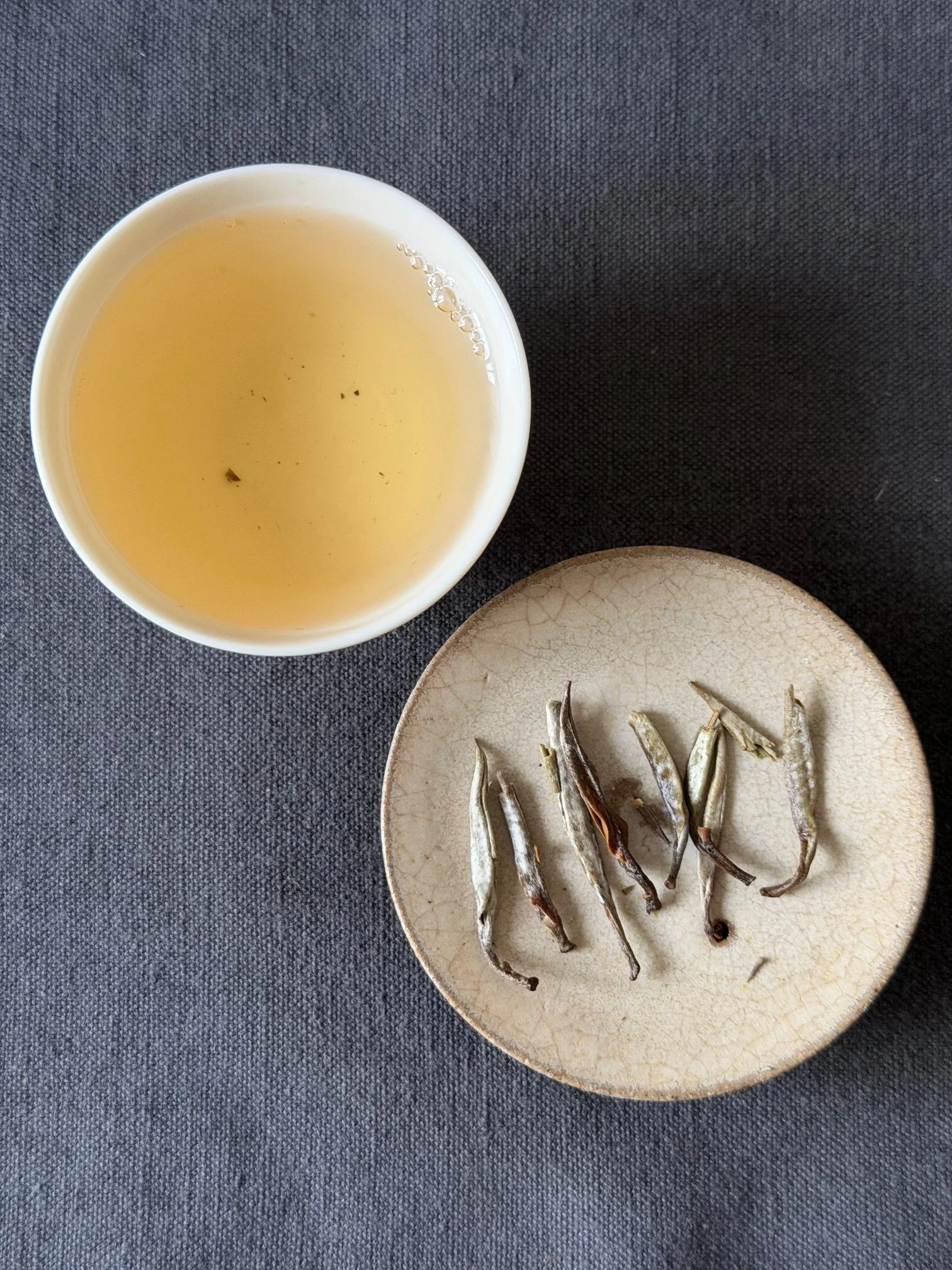 AIGUILLES D'ARGENT INFUSION 2.jpeg