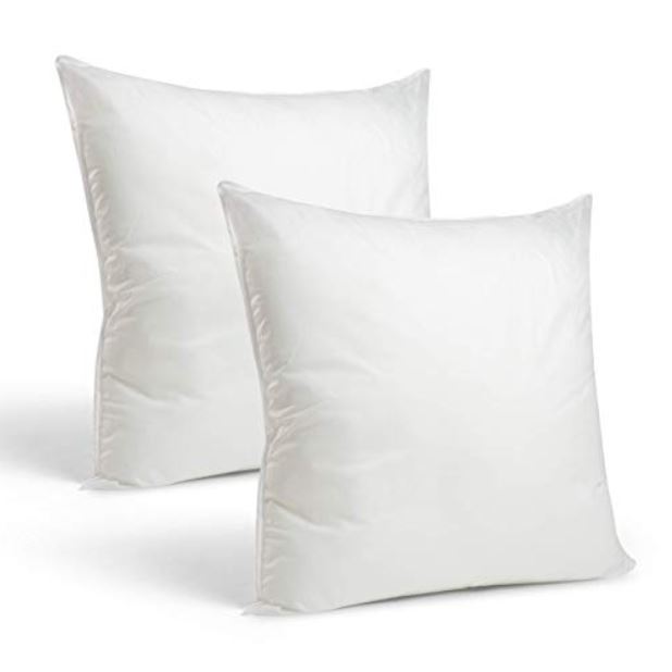 pillow inserts.JPG