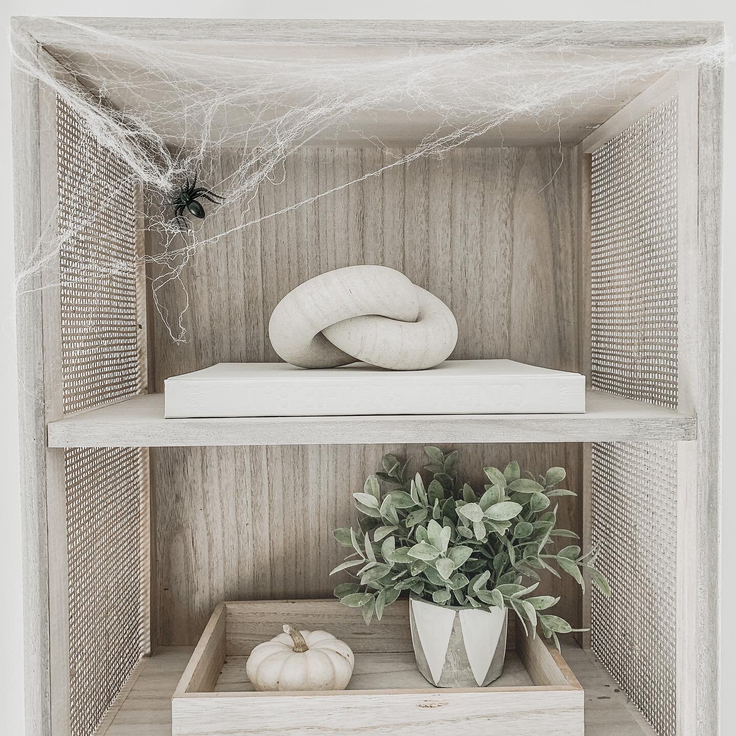 Here is the extent of my Halloween decorating 😂 That spider web stuff is trickier than it looks! I don&rsquo;t usually decorate for Halloween but we had a blast stringing up cobwebs and adding spiders all around the house last night. 🕸🕷