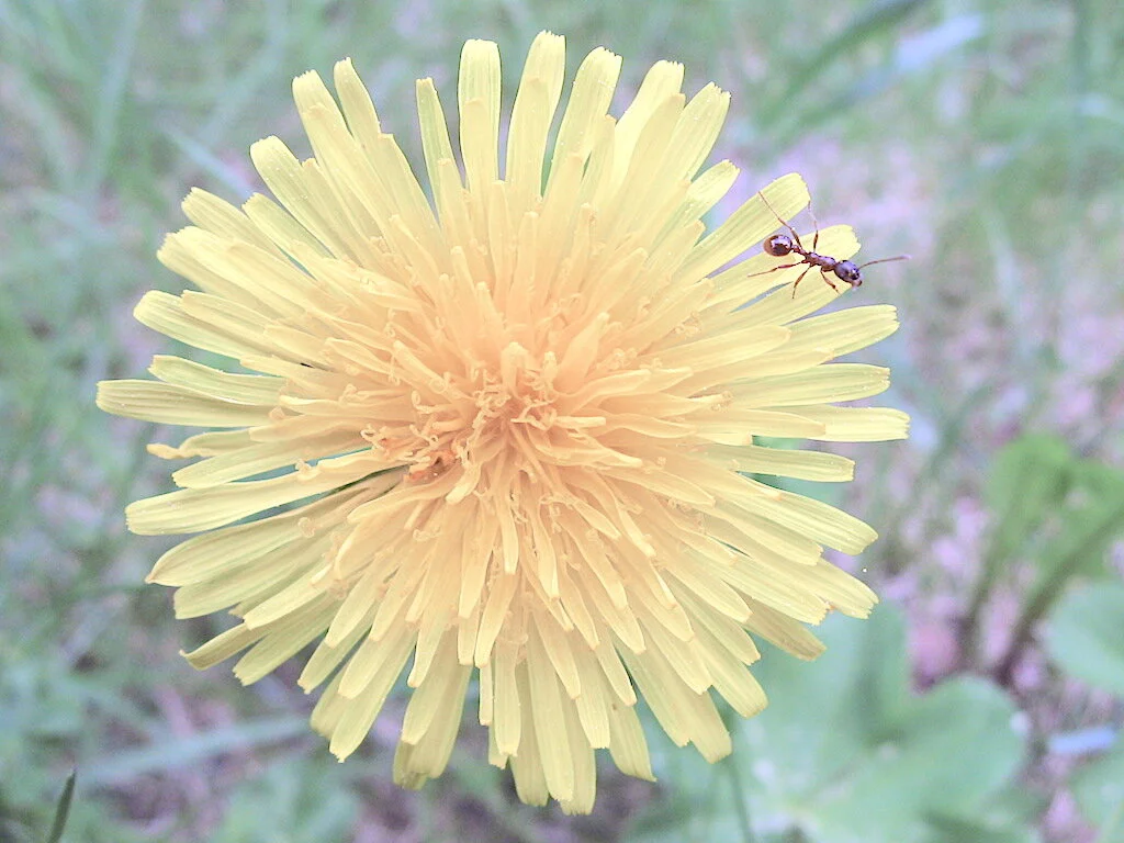 Werde AKTIV! – Warum das Schreiben Deiner Abschlussarbeit im grammatikalischen Aktiv unwiderstehlich ist