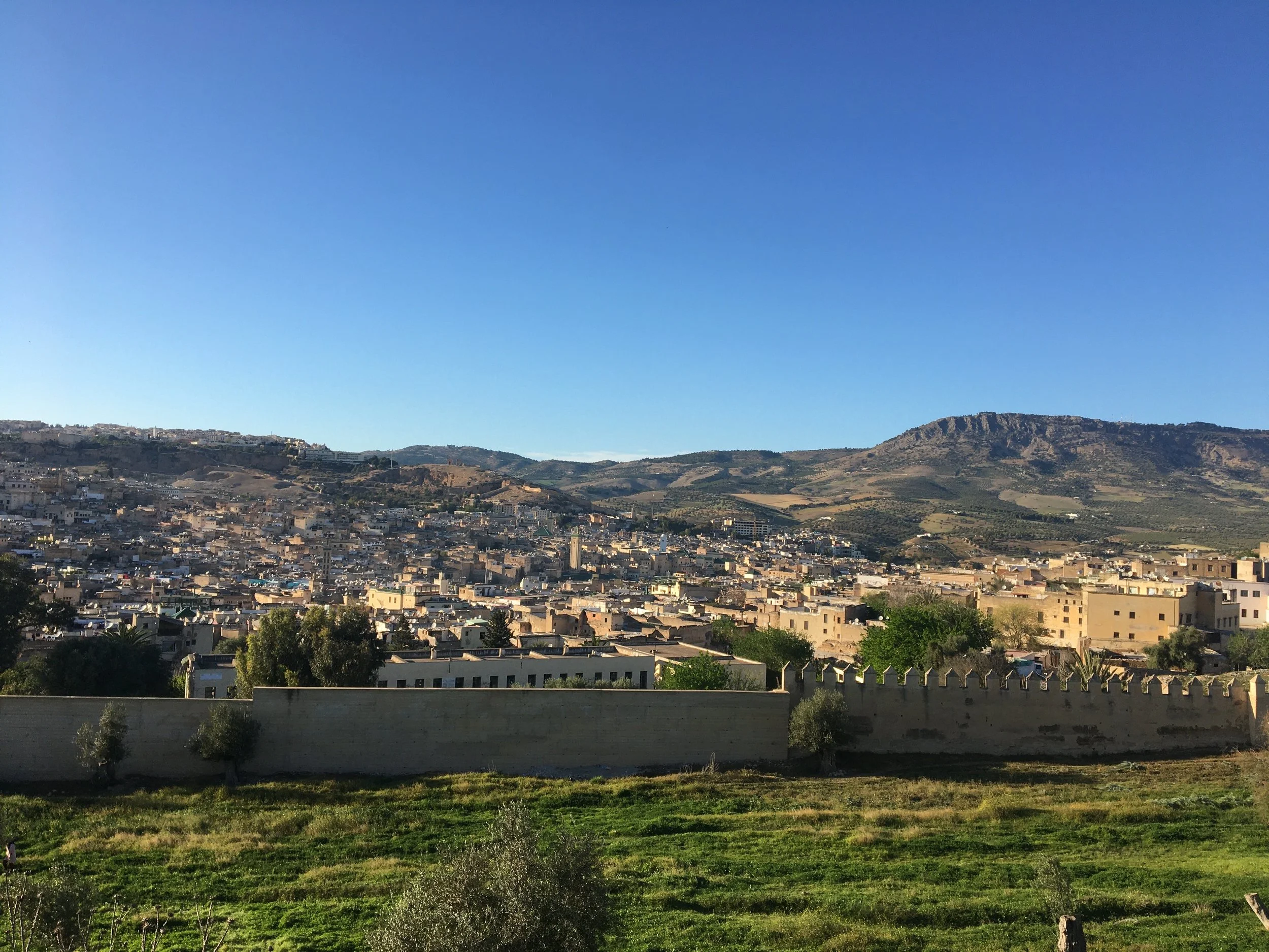 A MURMUR IN MOROCCO&nbsp;