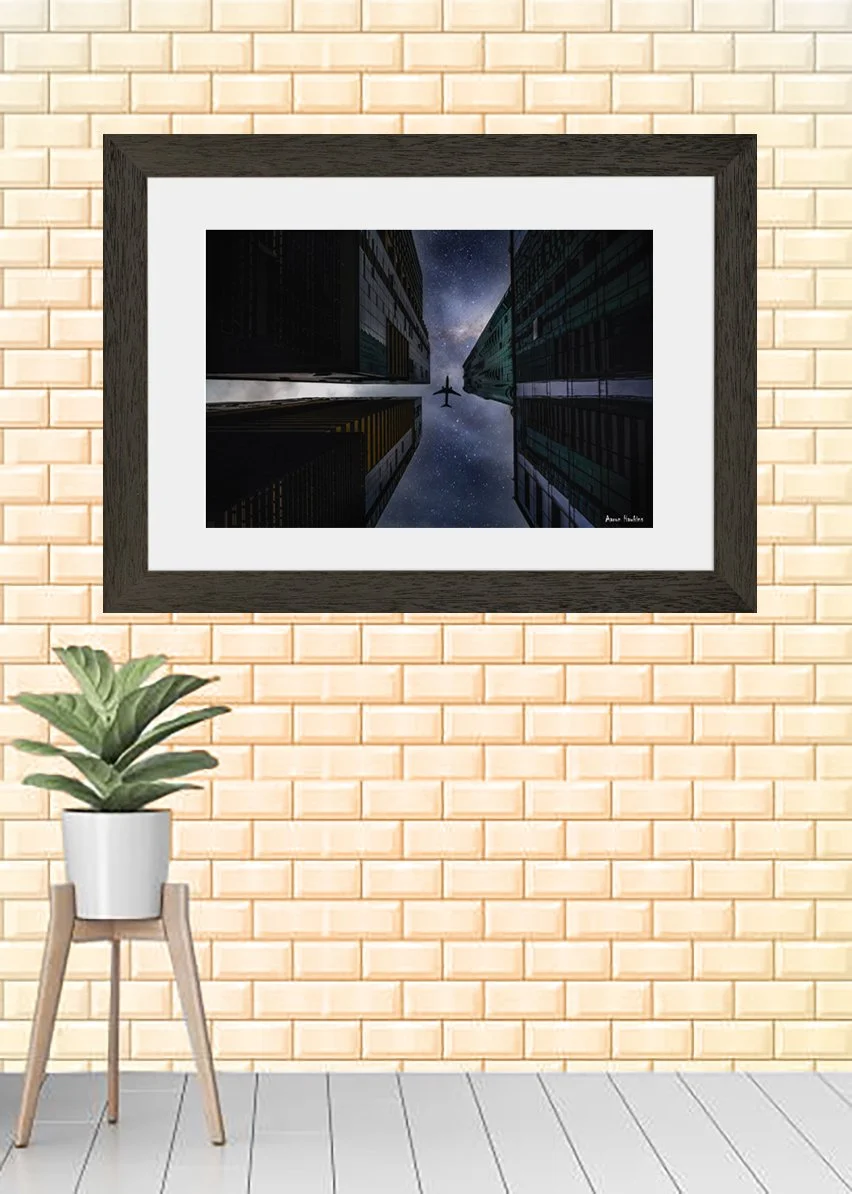 Plane Framed.jpg