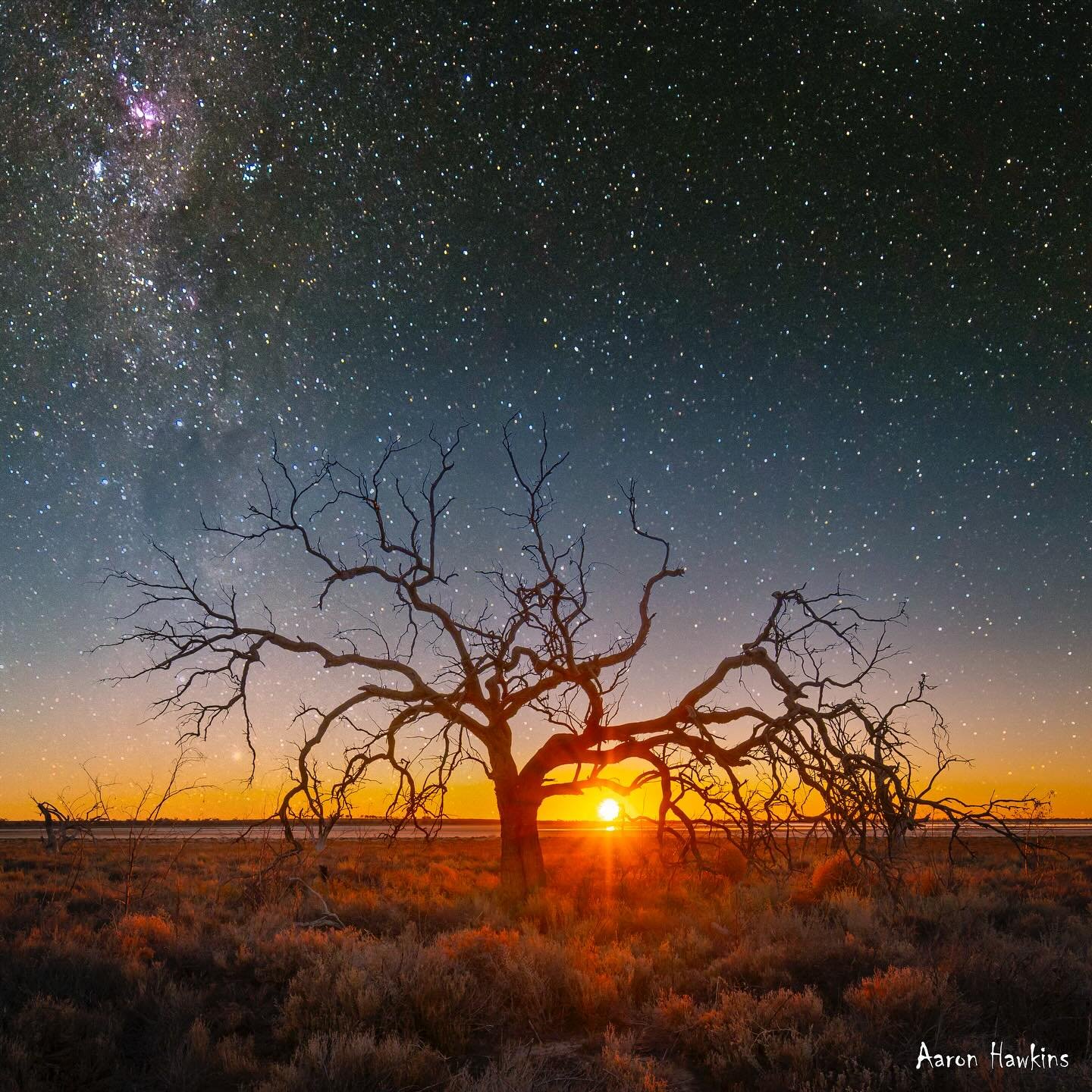 Winter Solstice 2025

The sun sets on the shortest day, therefore the longest night of the year. I always think that solstices remind me of the benefit of all seasons. I have been down and out with the flu this week. As frustrating and painful as tha