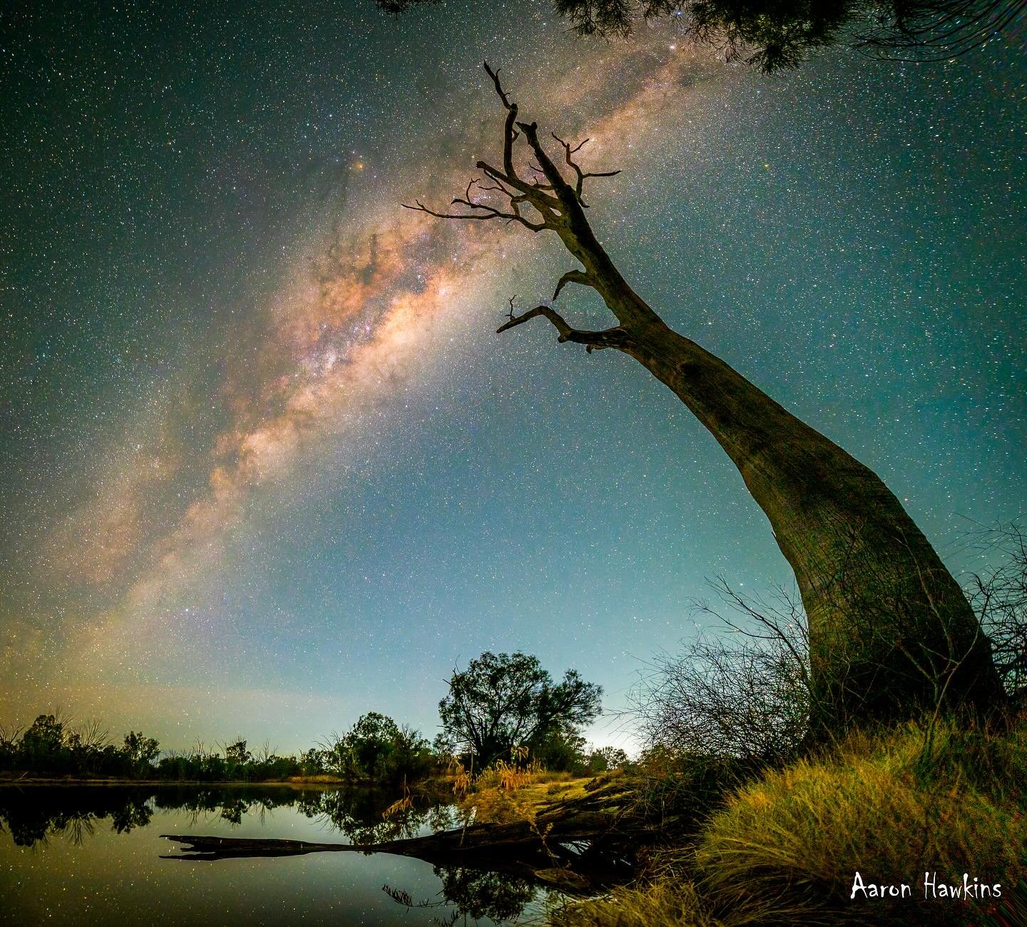 Reach for the stars ✨ 

Here&rsquo;s your reminder for the week. Even if sometimes you feel like this tree, slightly bend out of shape and twisted. And perhaps your best years feel a long way away and you feel a little dead inside, you can still alwa