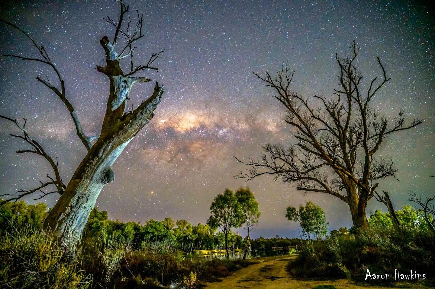 Guard of honor ✨

Two silent watchers, stripped bare by time, rise against the night sky. They bow to the galactic core as it drifts away &mdash; a cosmic farewell between earth and stars. Beneath the Milky Way&rsquo;s endless glow, I&rsquo;m reminde