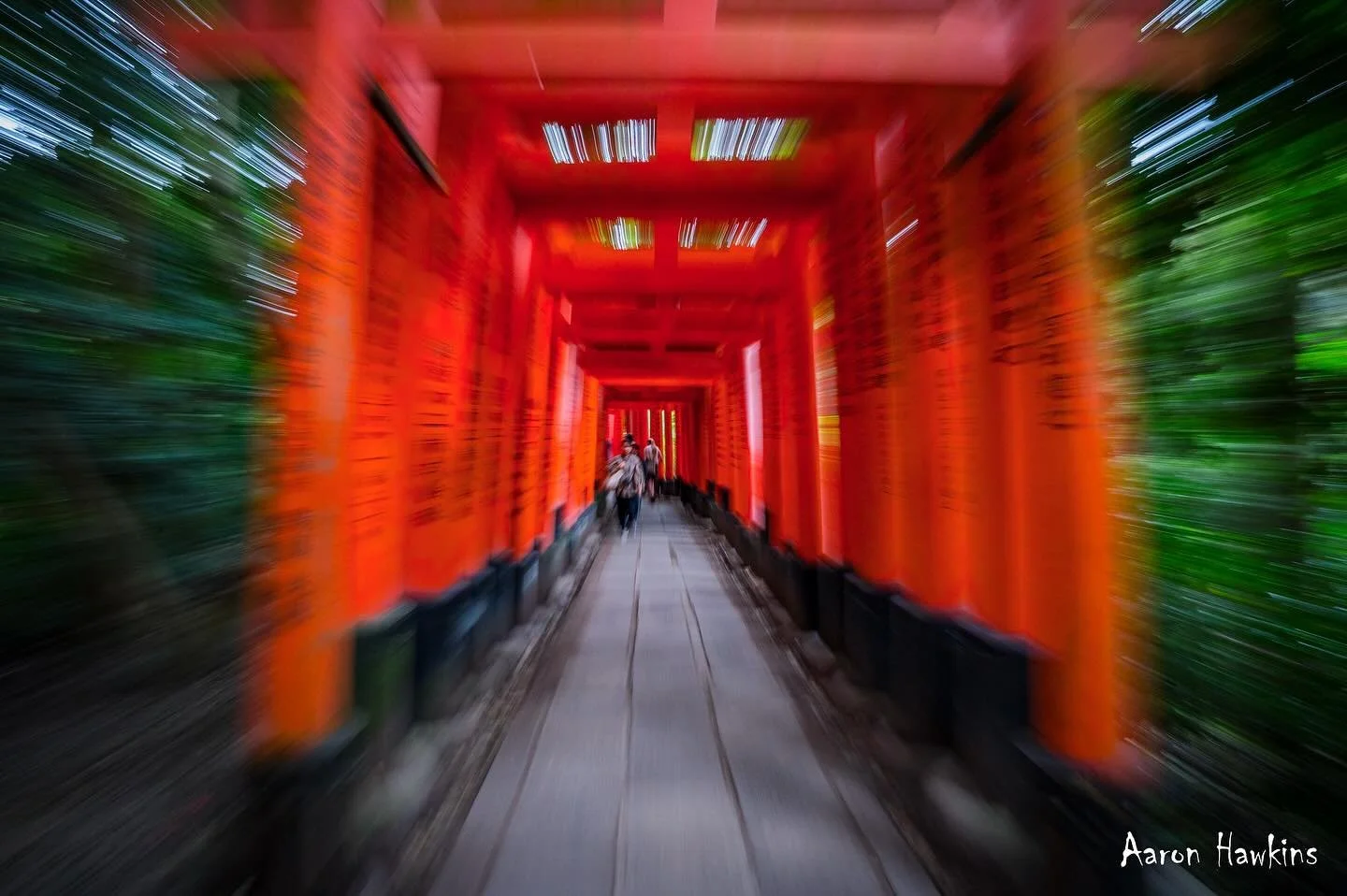 Didn&rsquo;t November fly past in a blur! 💨

Hard to believe it was over a month ago I was running the steps of Fushimi Inari, in Japan! The temple gates also streaming past in a blur.

I really loved the connection to Buddhist wisdom over there. A 