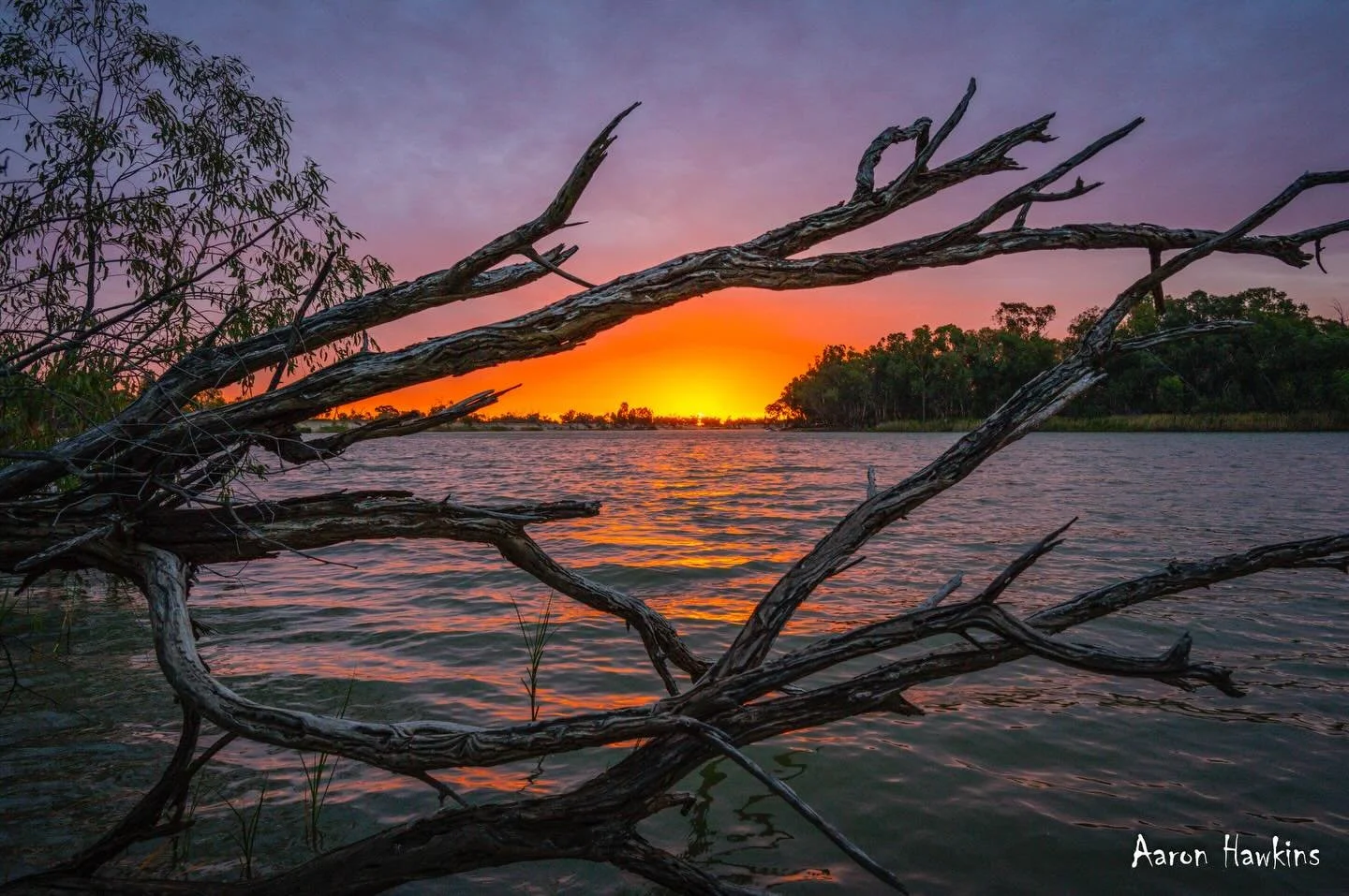River Magic 🌞

What a magnificent sunset over the river tonight! So glad I decided to make the effort to head down around the bend a bit further for a look. Magical scenes and a great way to end the second last day of 2025. 🤩🤩