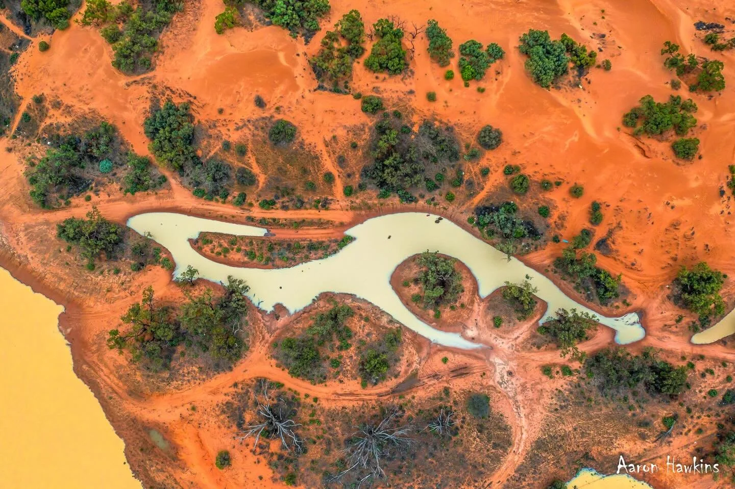 Australian Spirit 🦘

The unmistakable figure of a kangaroo emerges from floodwater in the Perry Sandhills. While I&rsquo;m aware that there was quite a negative impact on people from the rain event, this image seems like a clear sign that the landsc