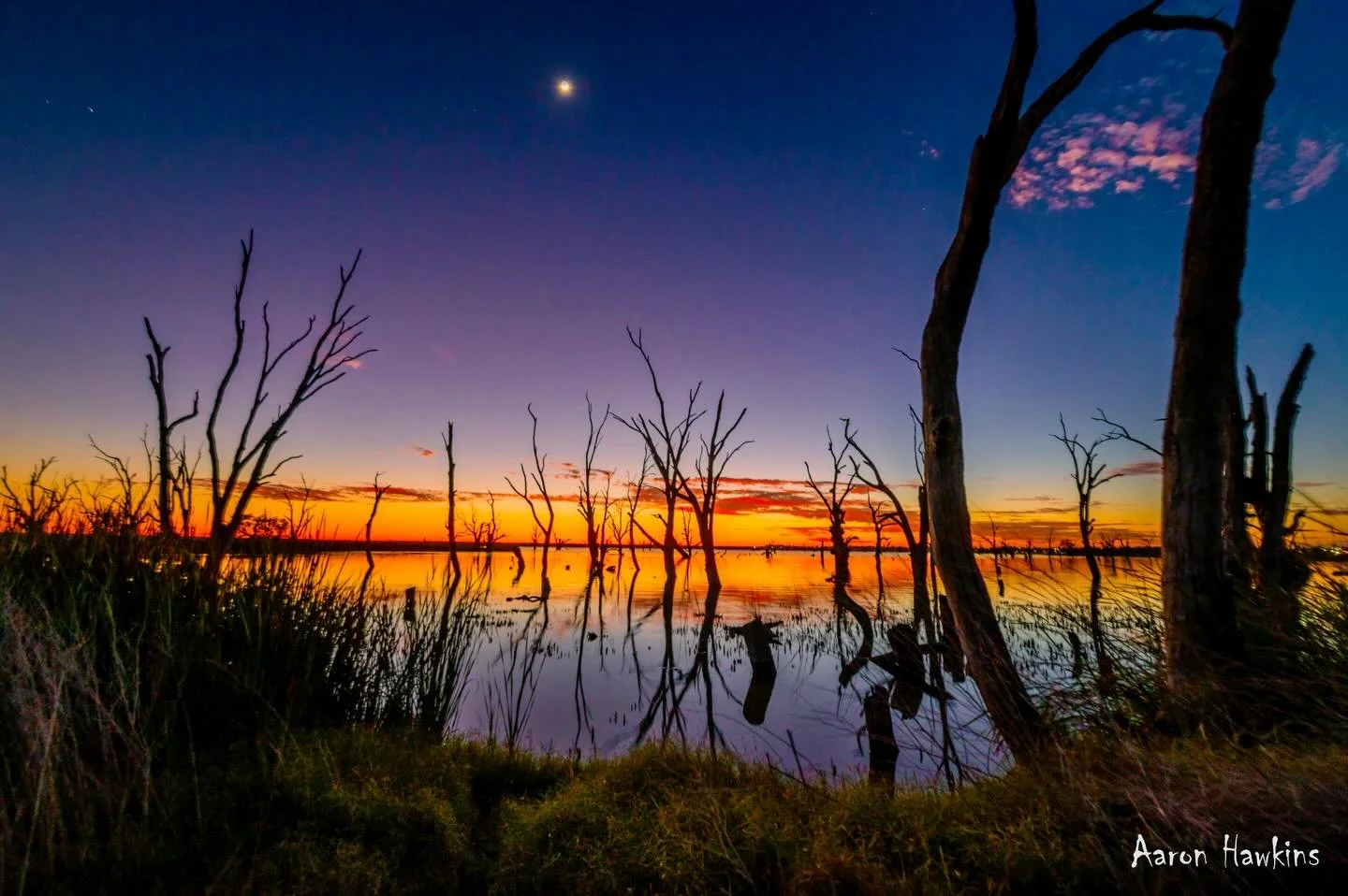 Morning Magic 🪄 

The crescent moon hangs in the sky illuminating the scene  as the warm glow of the sun splashes colour. A scene the long departed trees have witnessed time and time again. I scene I don&rsquo;t think they will ever tire of. 

#morn