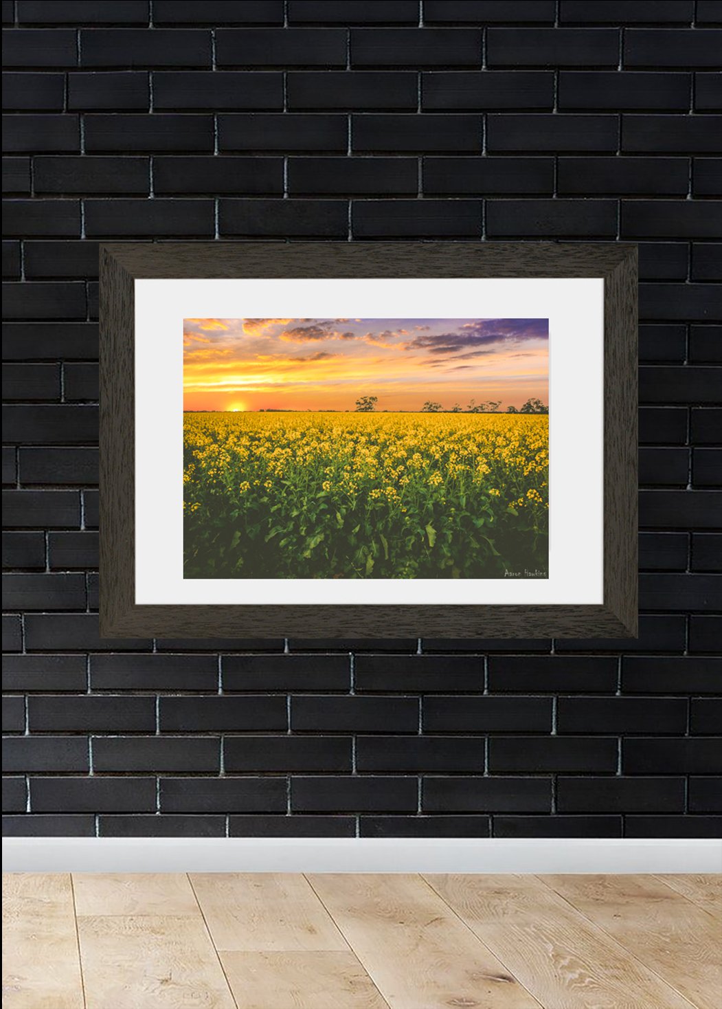 Canola Print.jpg