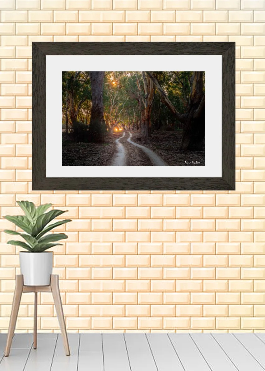 Pathway Framed.jpg
