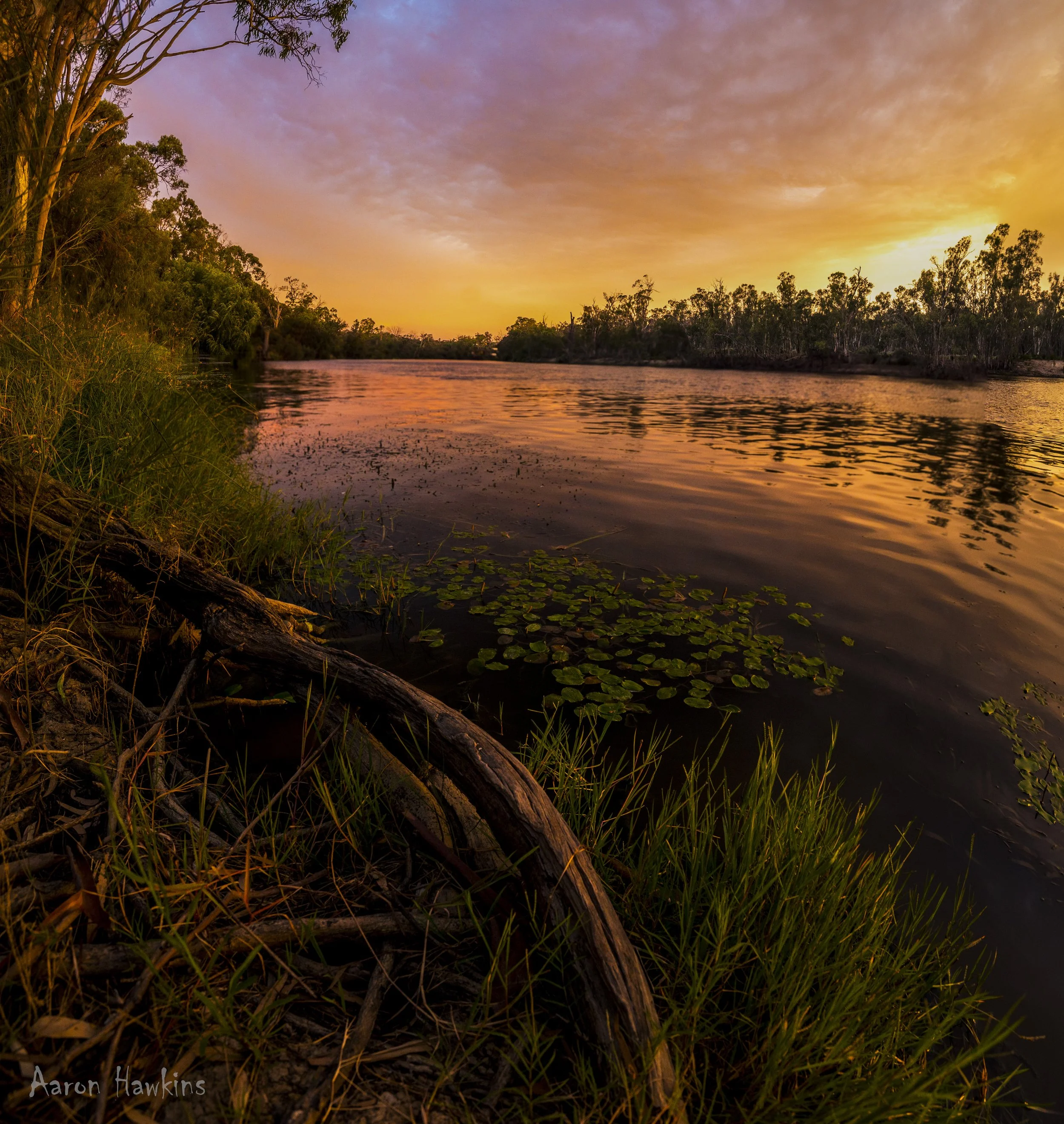 026-Pano.jpg
