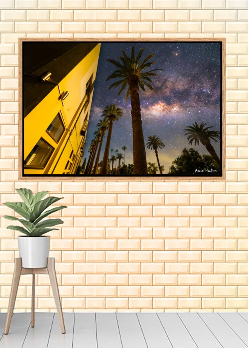 Grand Palms Canvas.jpg