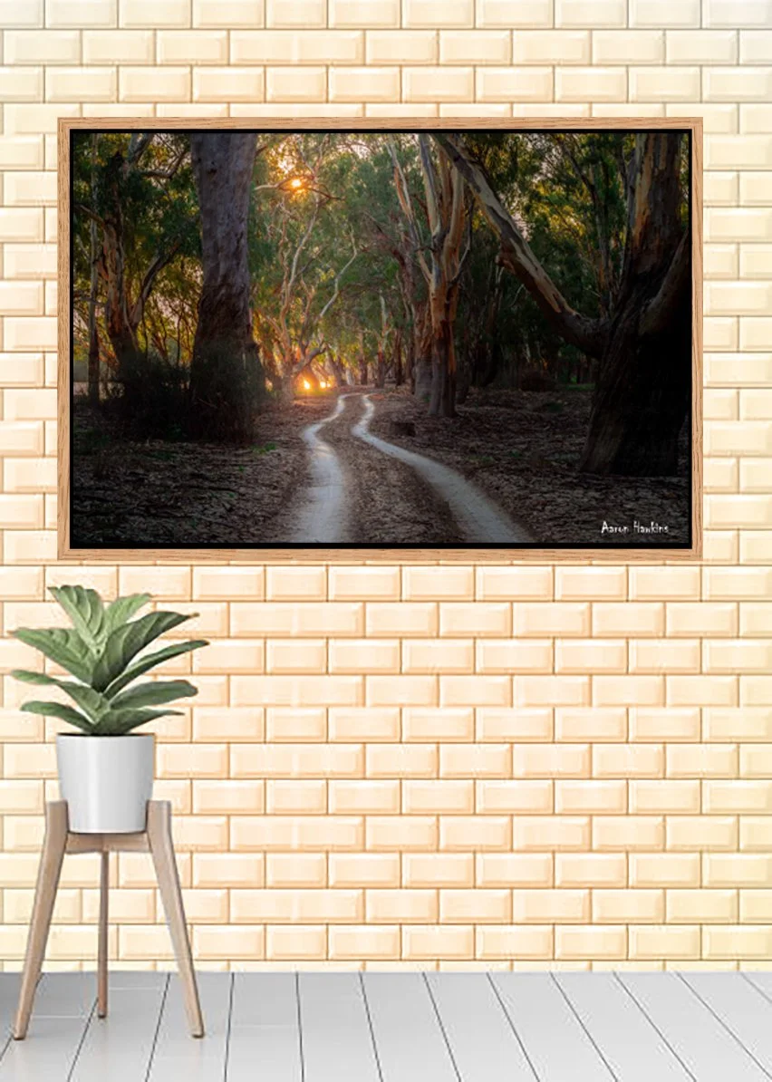 Parthway Canvas.jpg