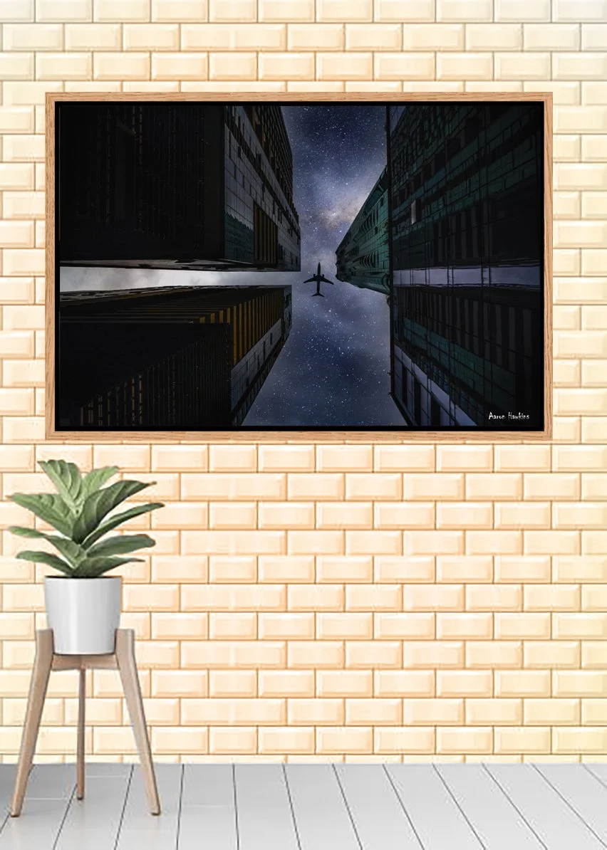 Plane Canvas.jpg