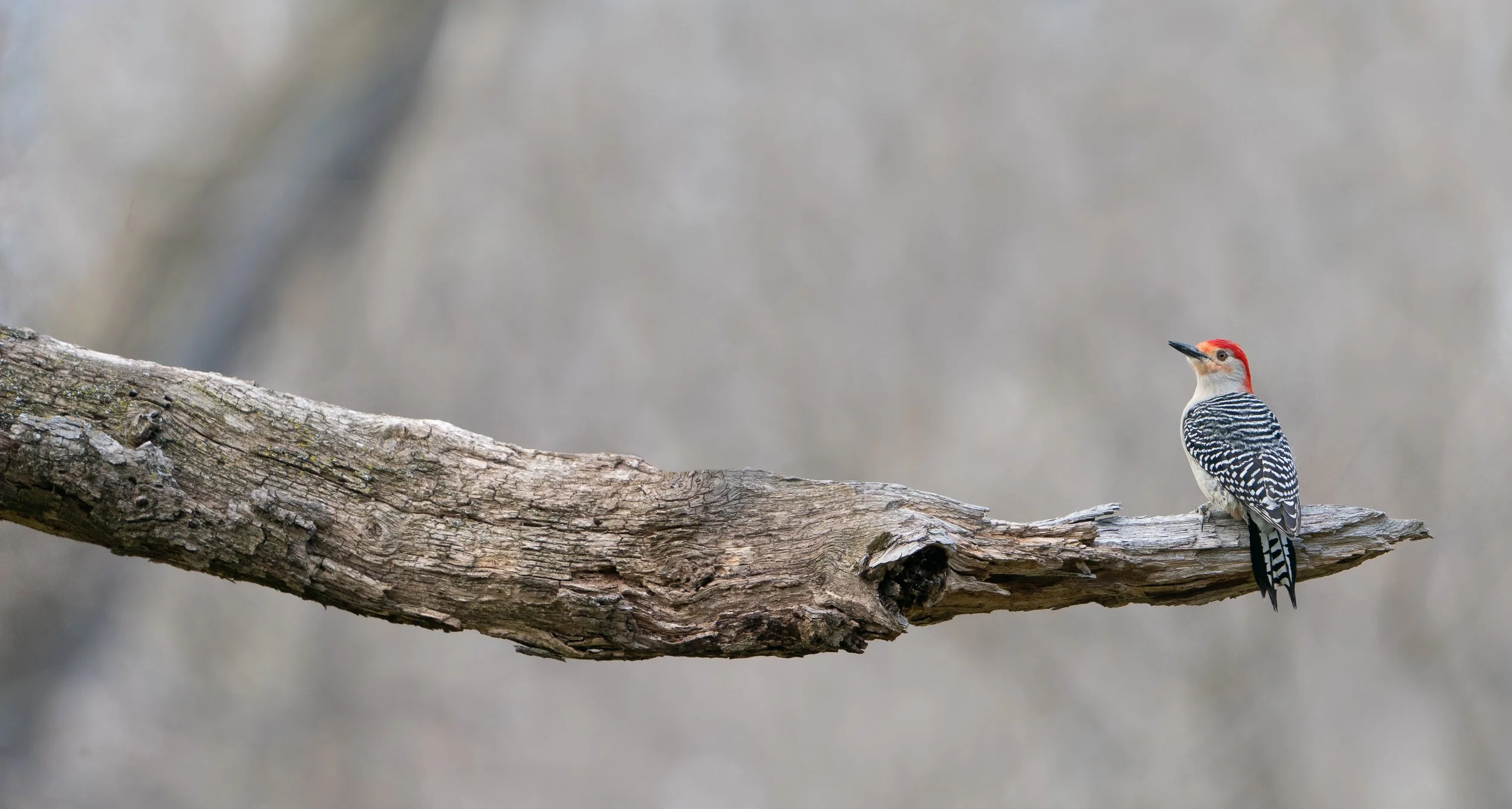 _DSC5880.jpg