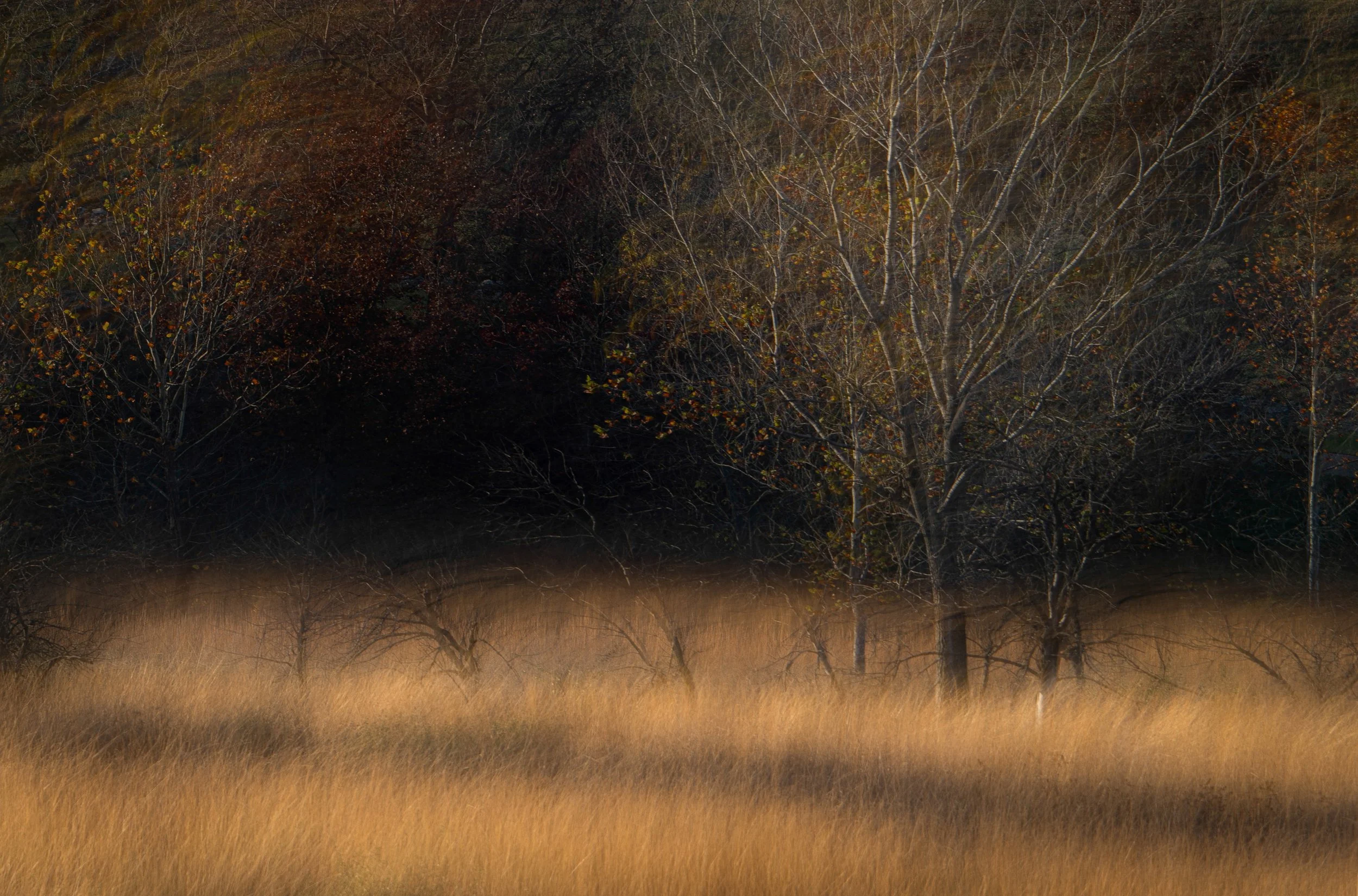 _DSC1634-Edit.jpg