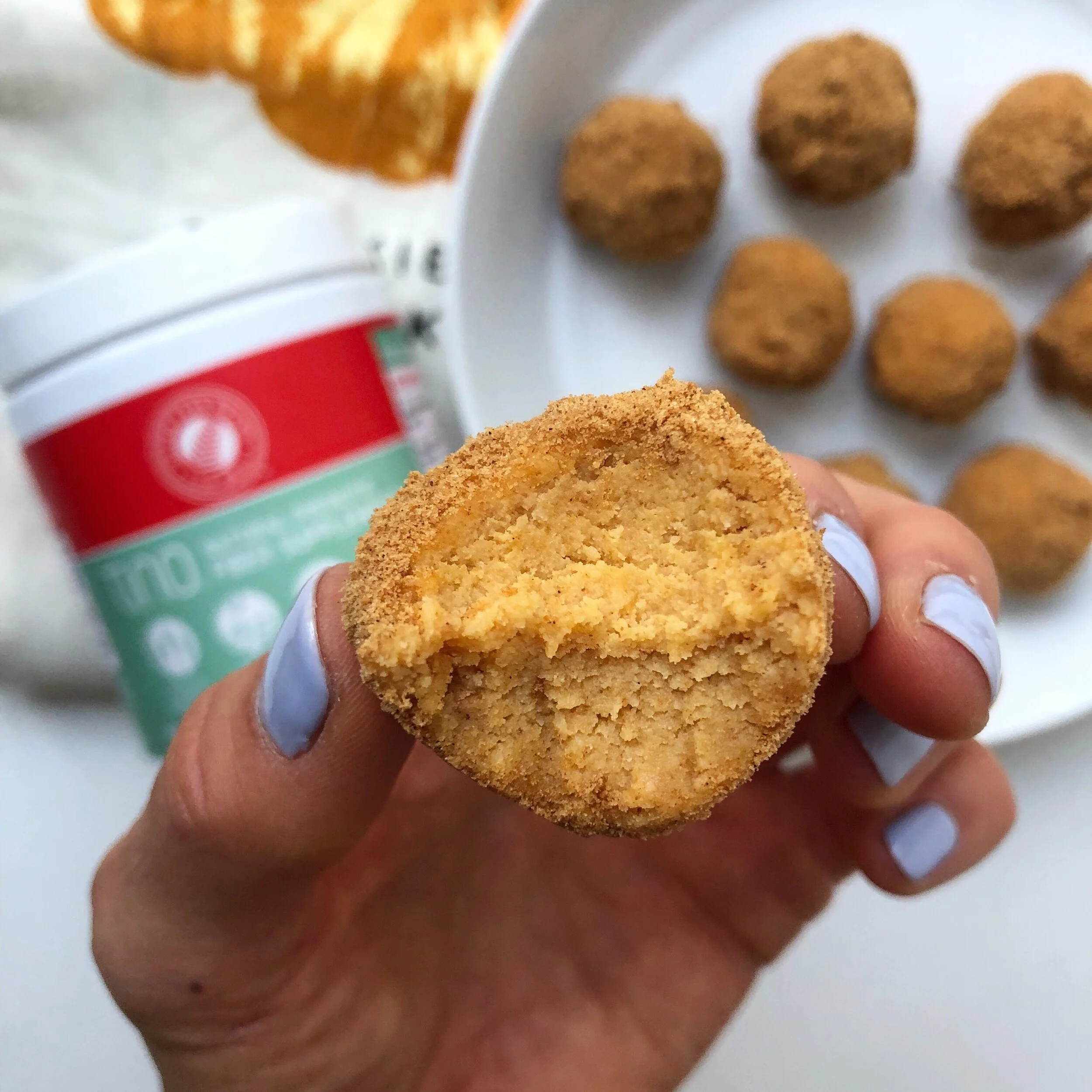 No Bake Pumpkin Peanut Butter Cheesecake Balls