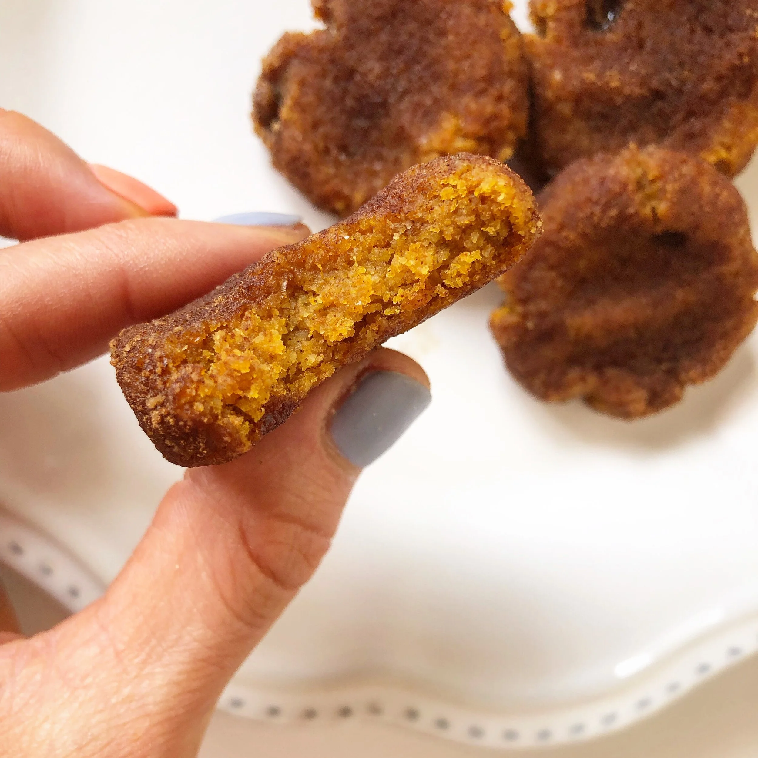 Pumpkin Snickerdoodle Cookies