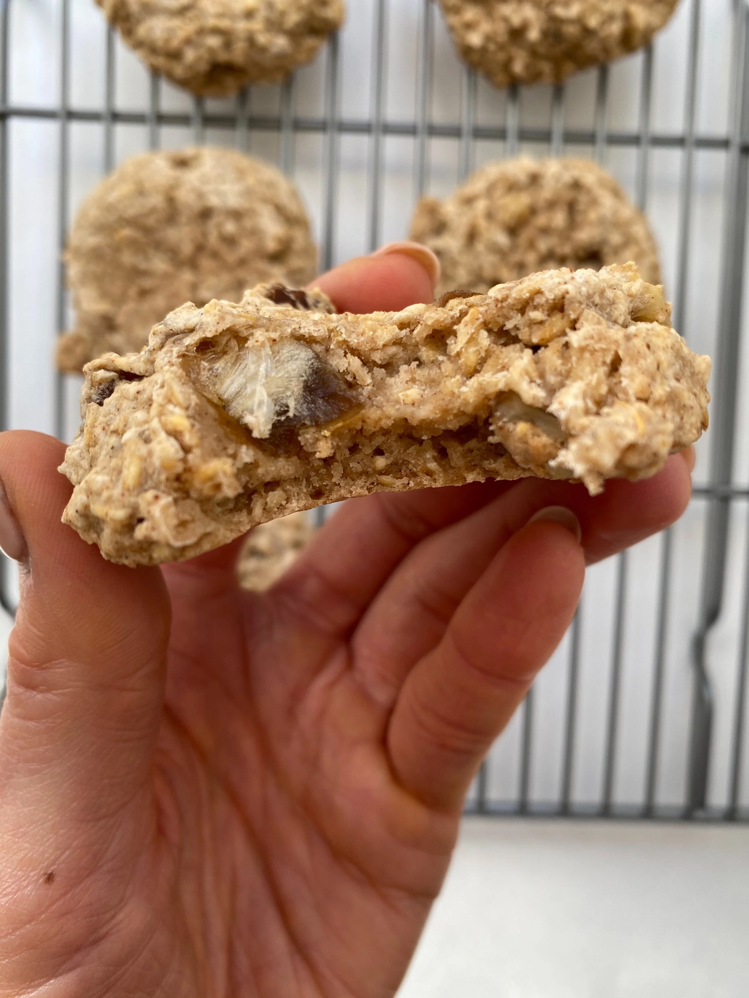 chewy oatmeal cookie