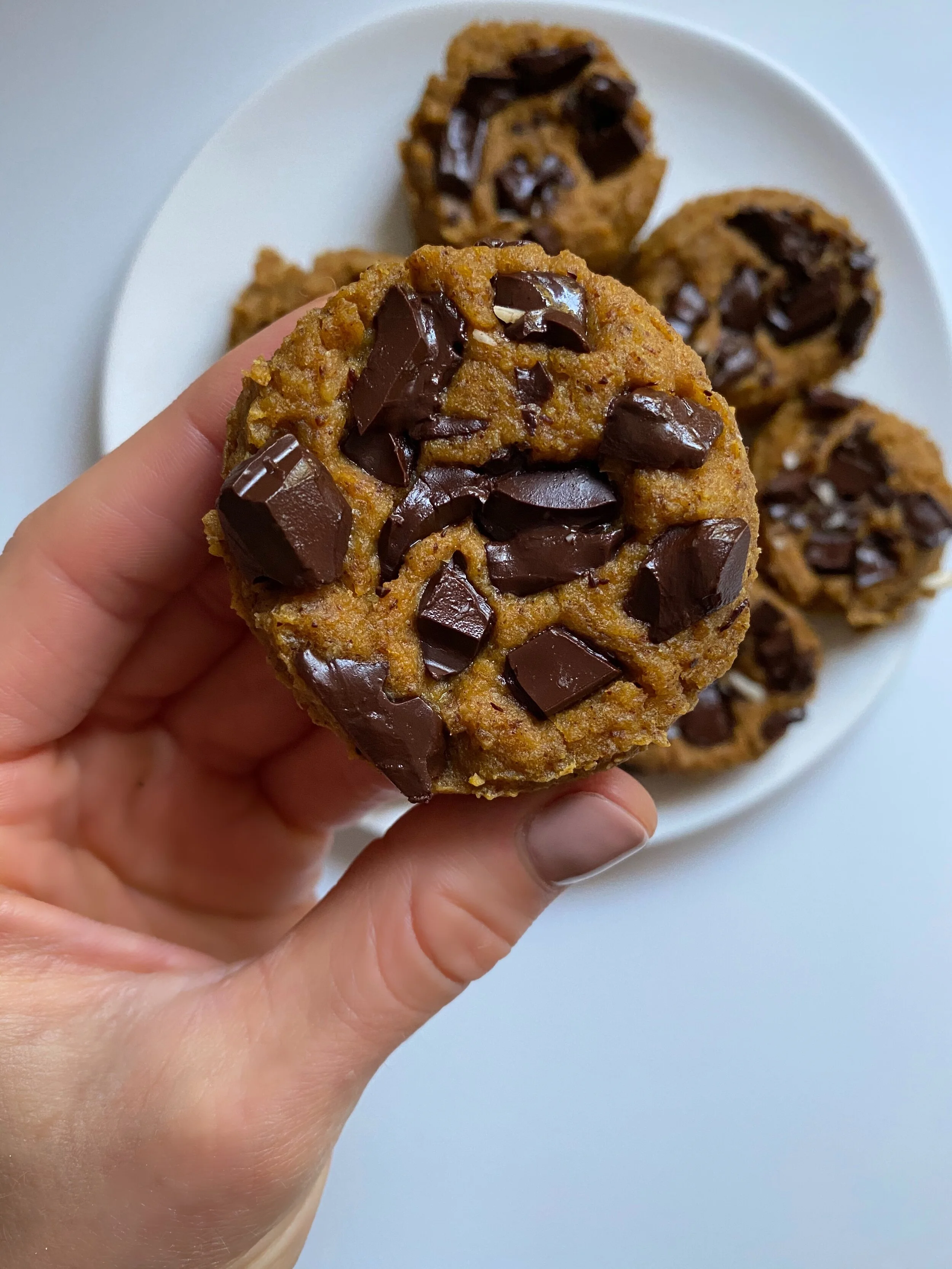 pumpkin chickpea chocolate chip cookies